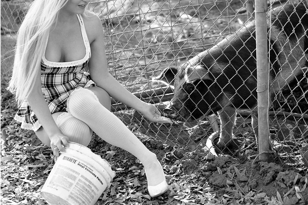 Feeding the pig posted by only_a_memory