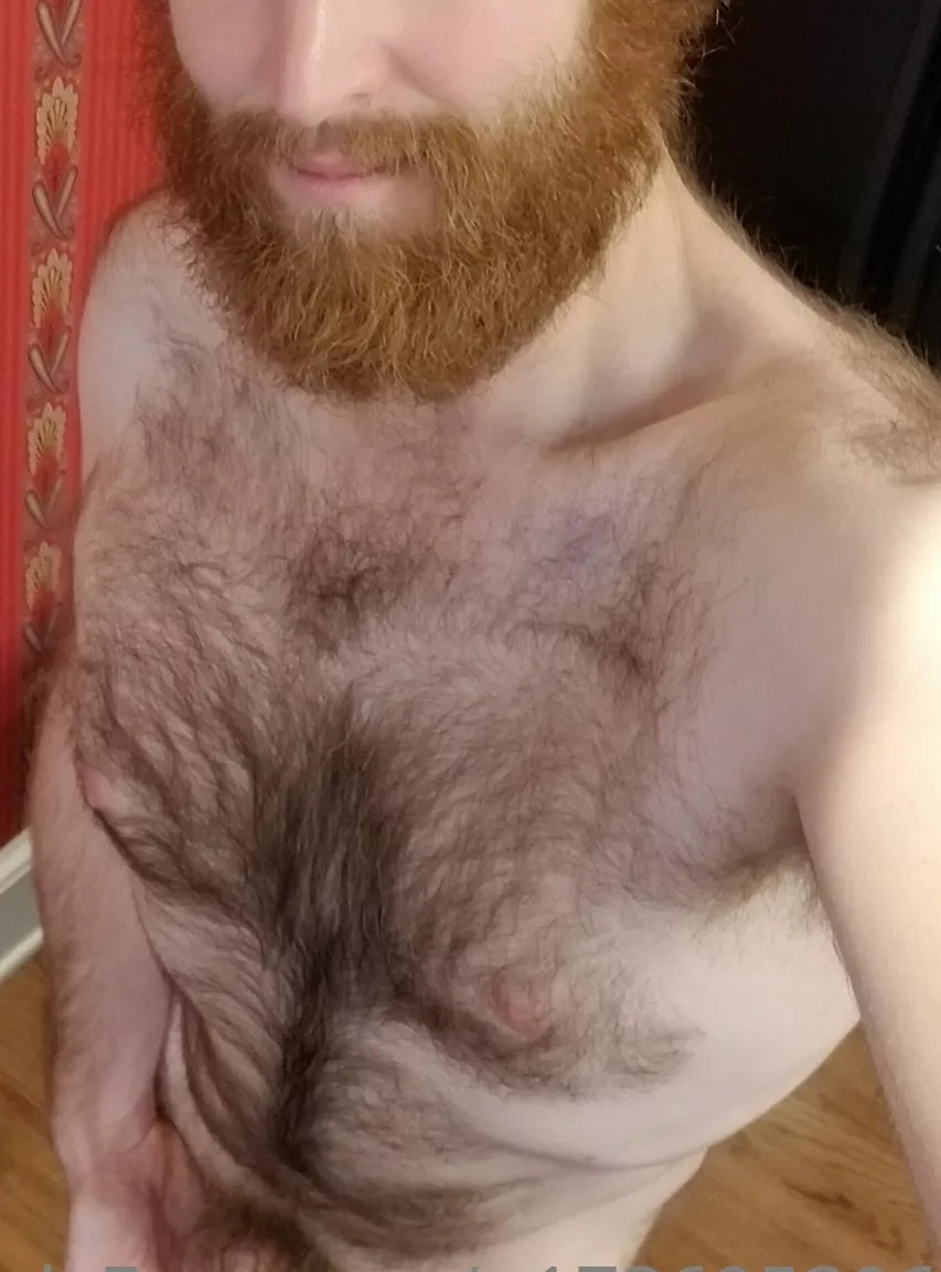 Feelin like a snack! posted by ShirtlessGinger