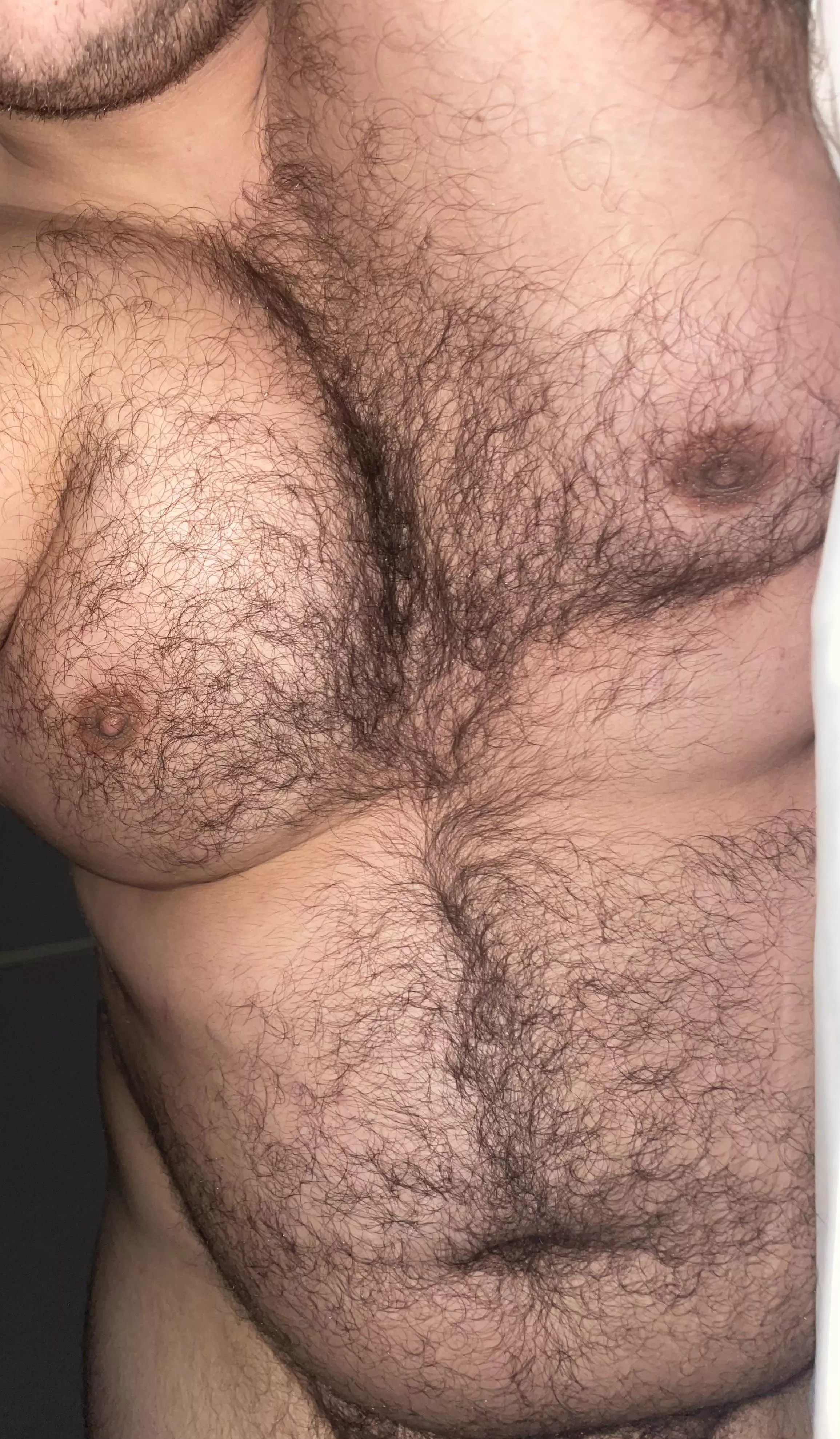 Feeling hairy posted by Hairbair12