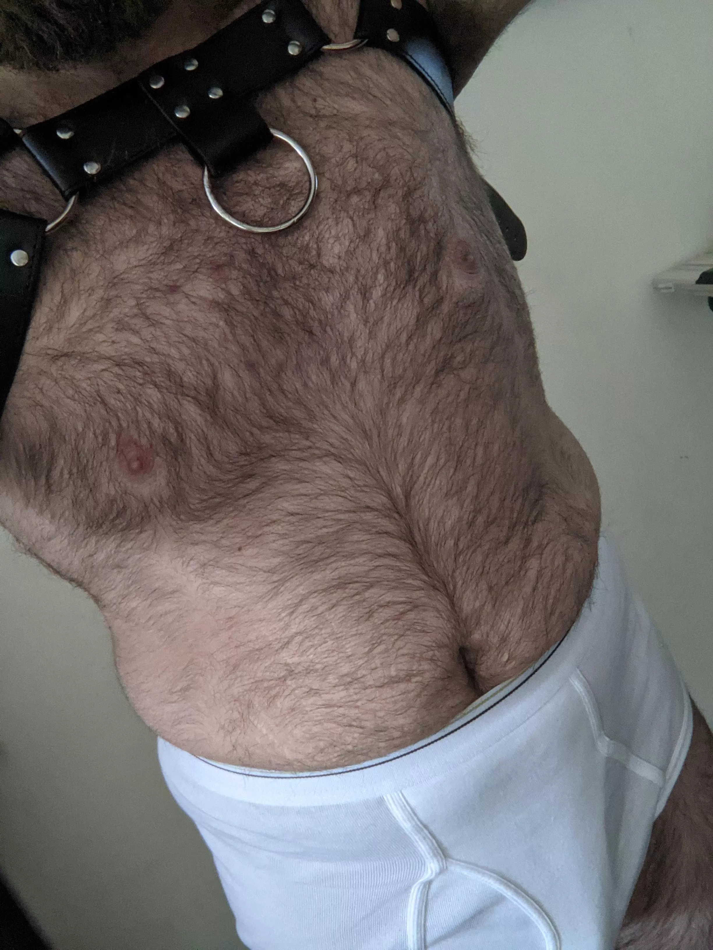 Feeling my full bear self today posted by verkskeez