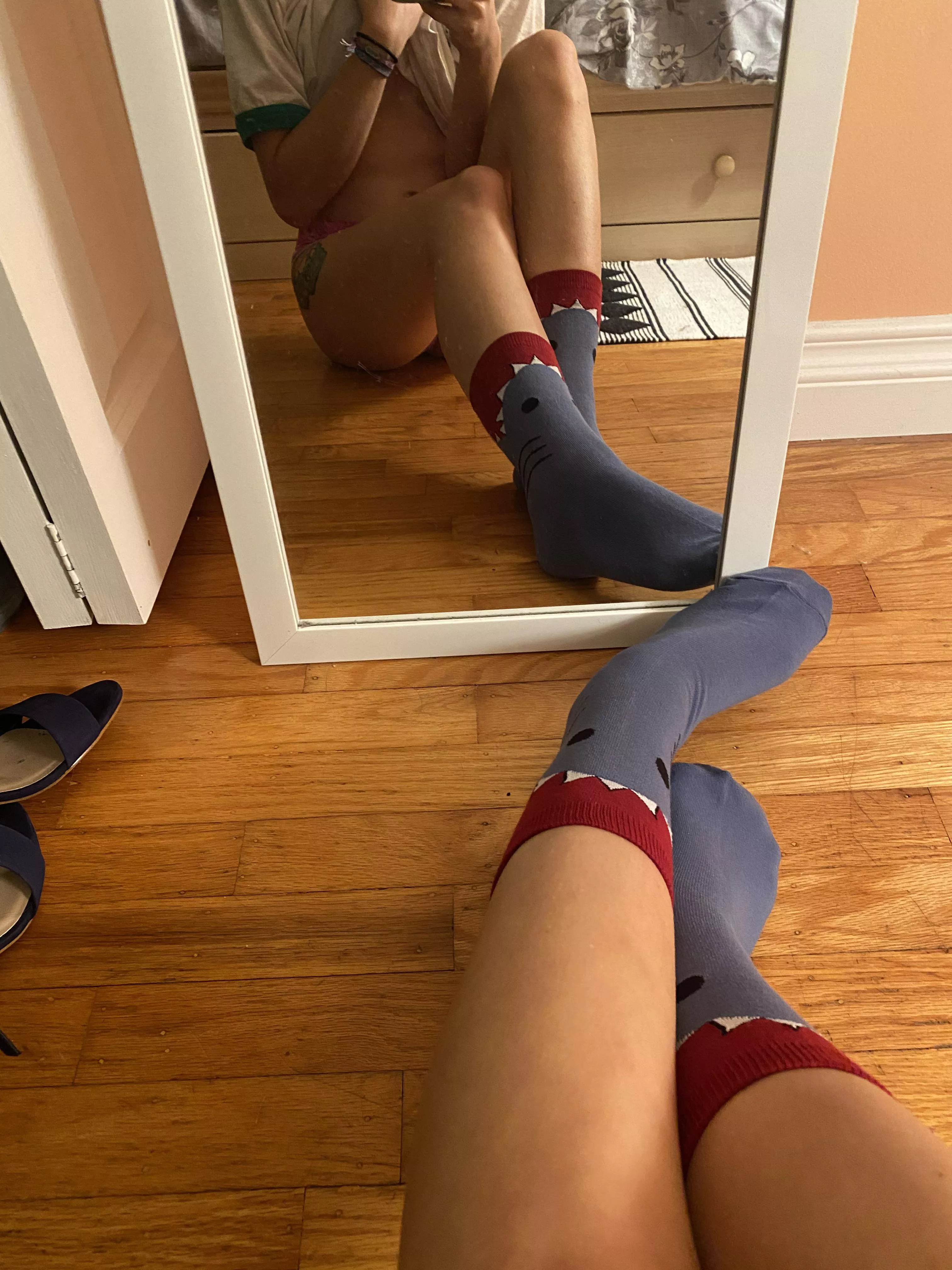 [female] cutest shark socks ever! posted by missjunie1