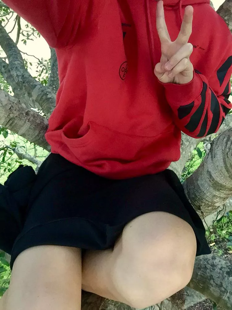 Femboy in a tree, what will he do posted by rundle-trundle