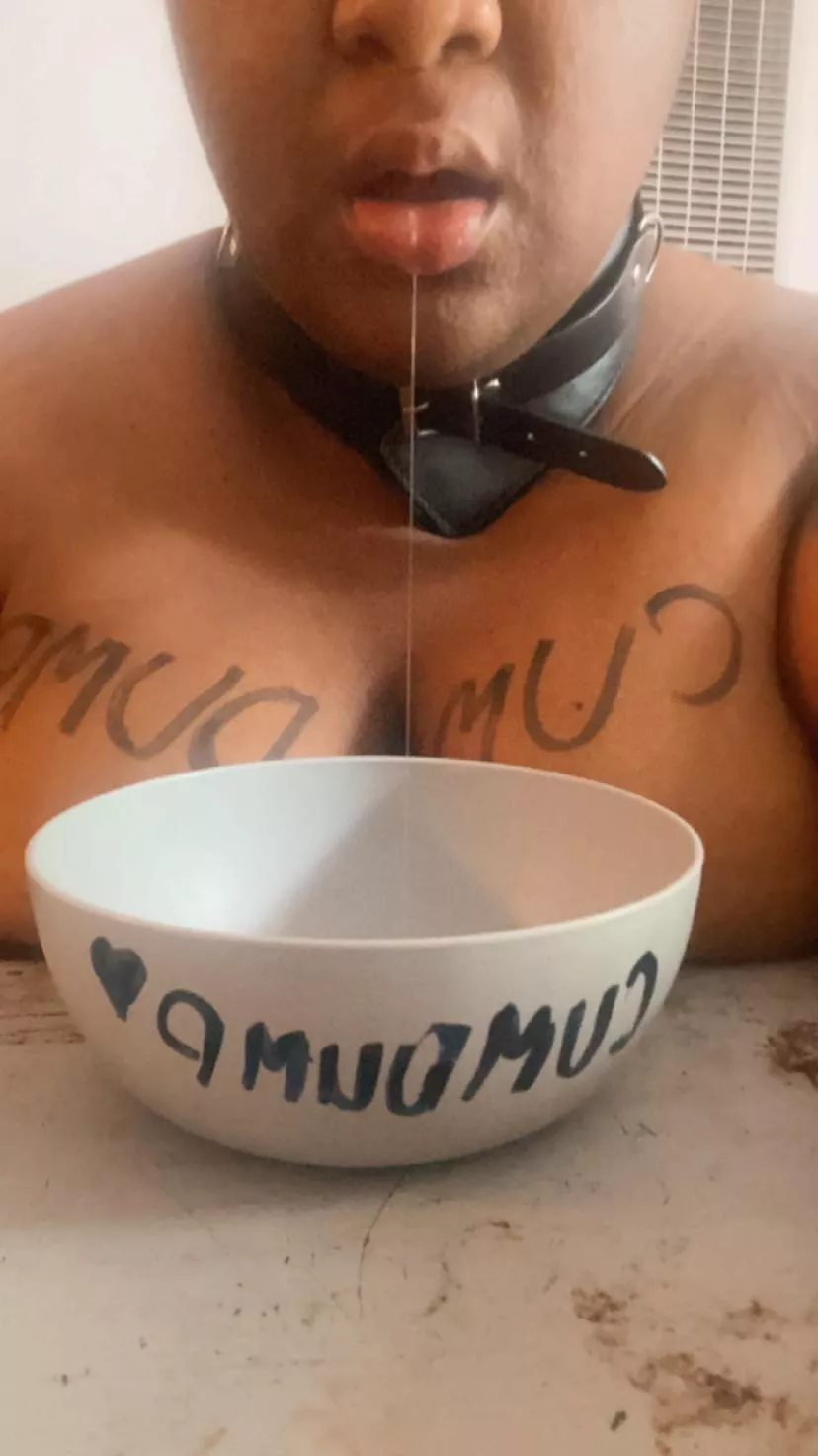 Fill my bowl, please? I’m a hungry c*0n 🥺 posted by mastersmonkey2