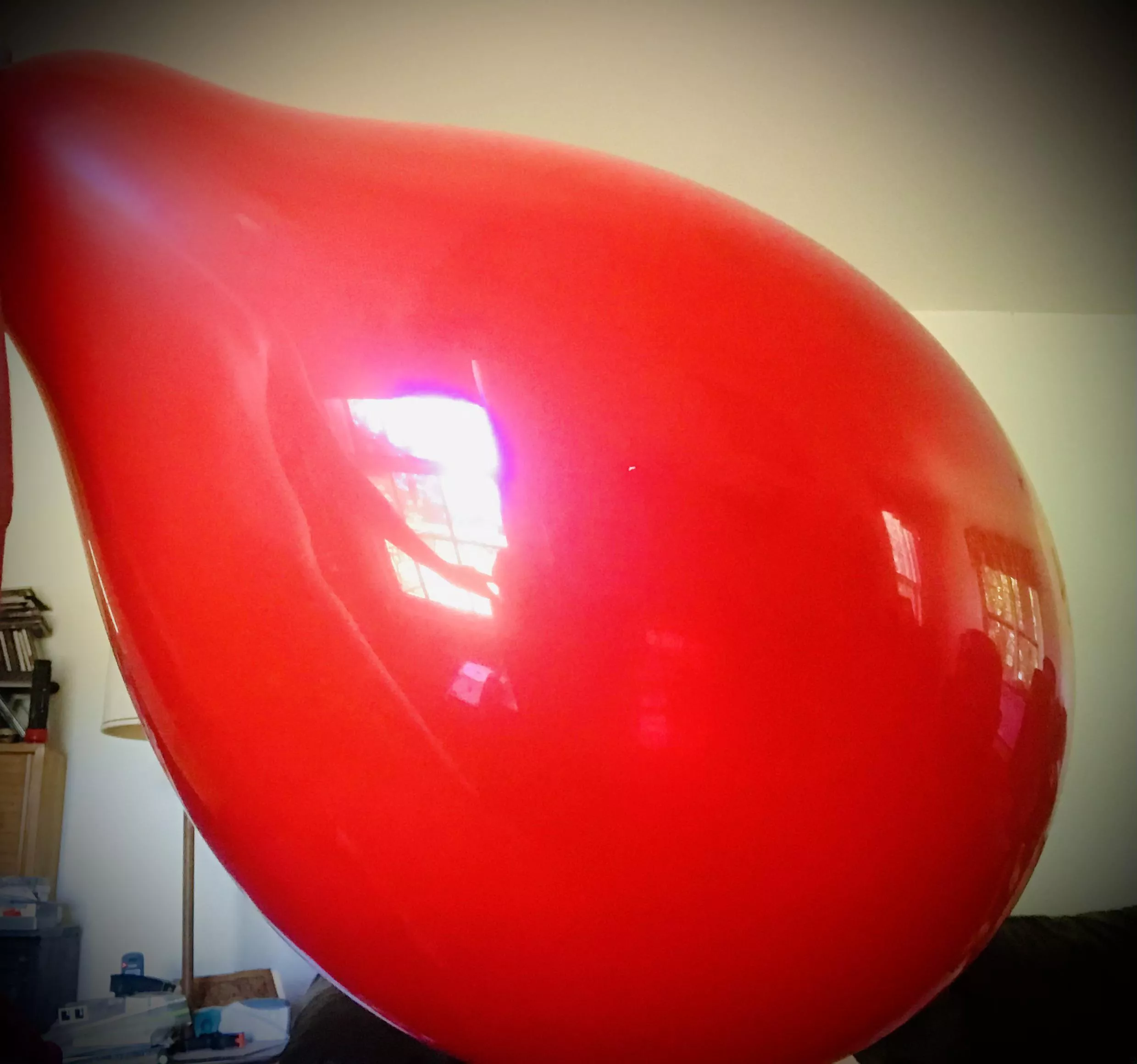 Finally found some alone time to indulge in my balloon fetish with a beautifully tight Q24â€â€¦ (OC) posted by AverageGuyCumming