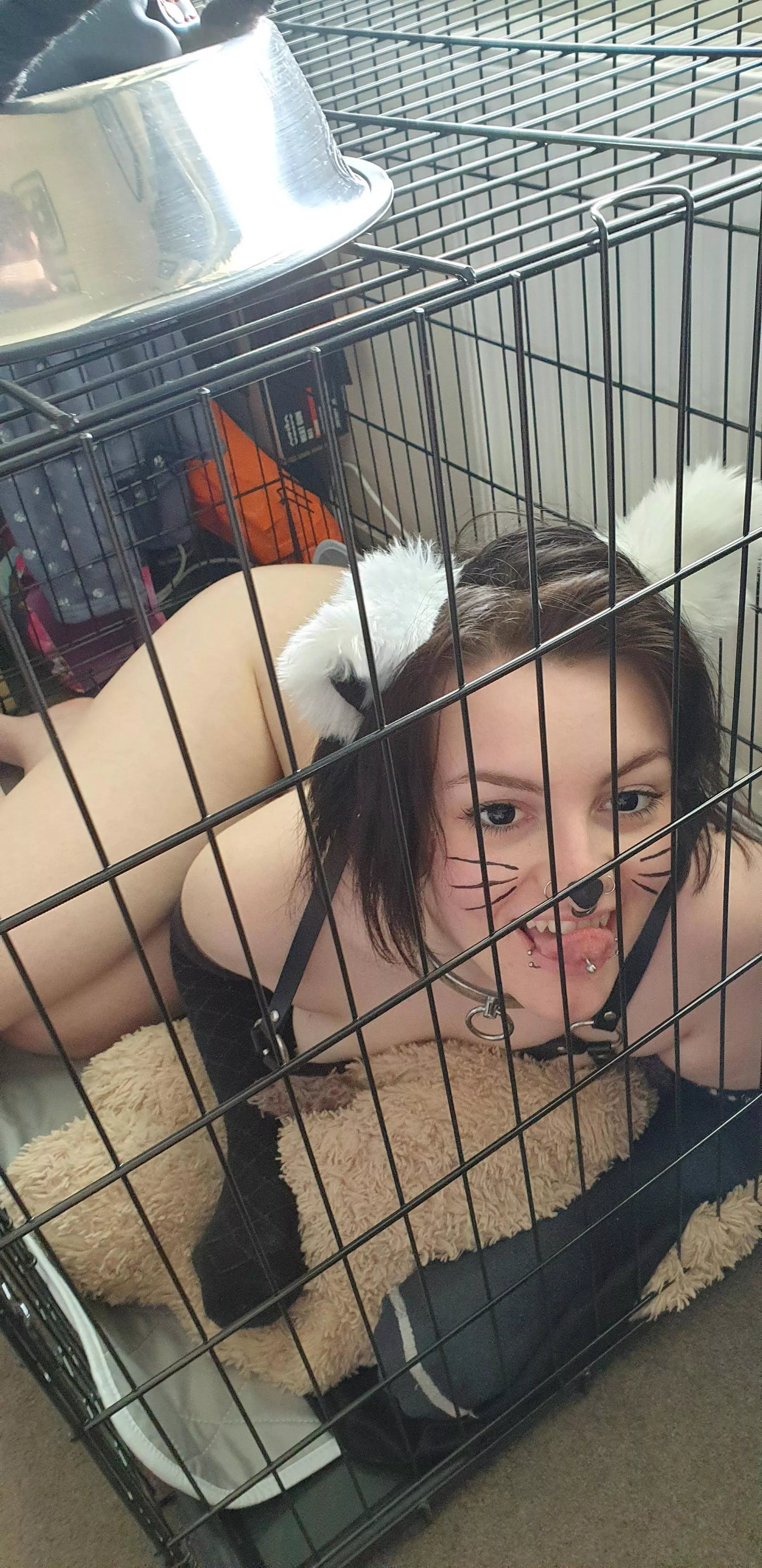 Finally got a cage 🥰 posted by CorruptedLilDaughter