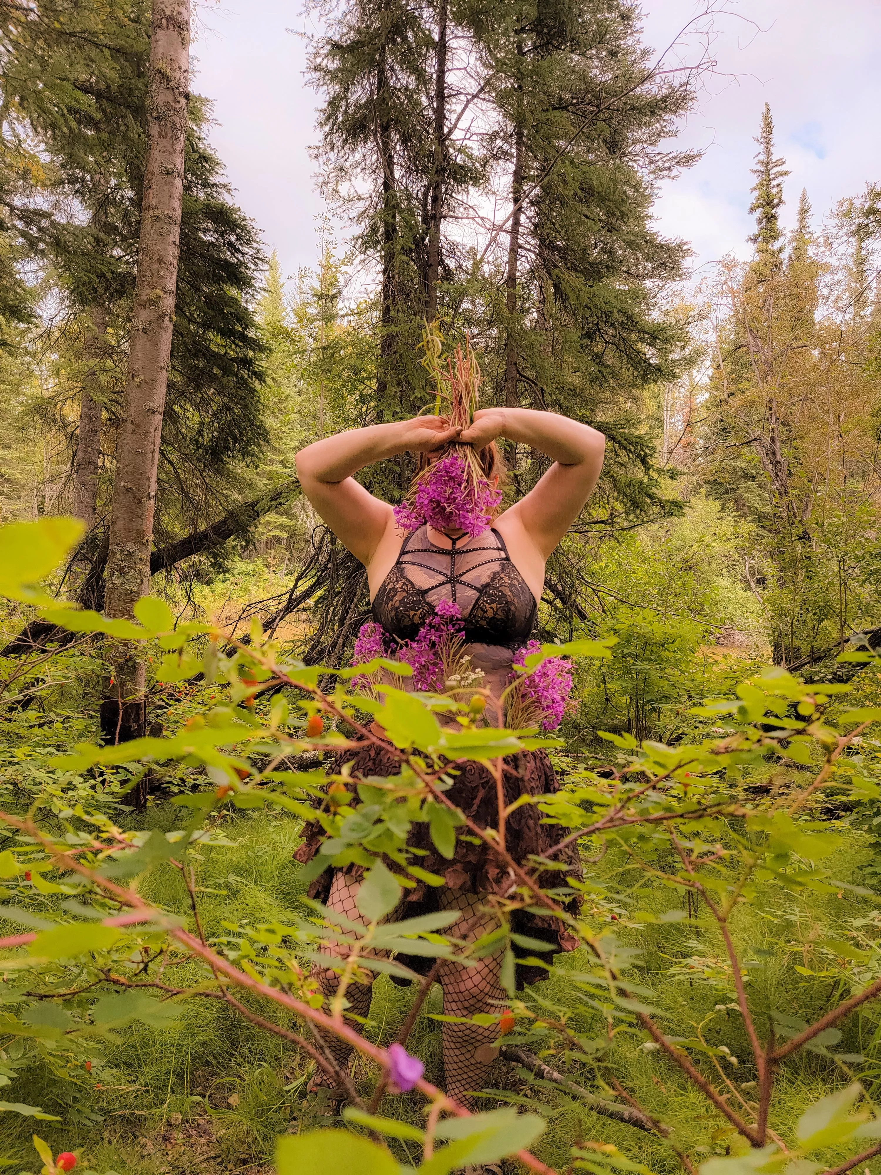 Fireweed Jelly Season ♡♡ posted by MattieYukon