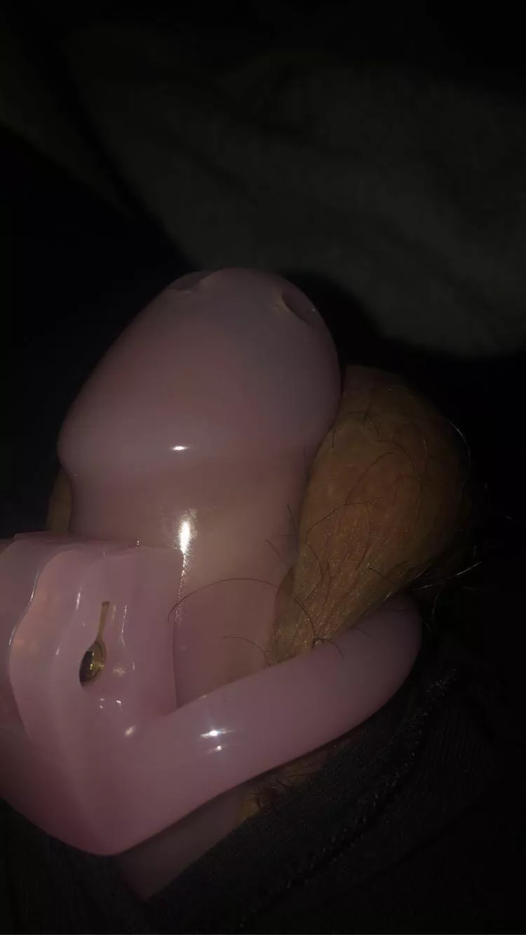 first cage-didn’t realize how much I’d love it until I tried it posted by boipussy19