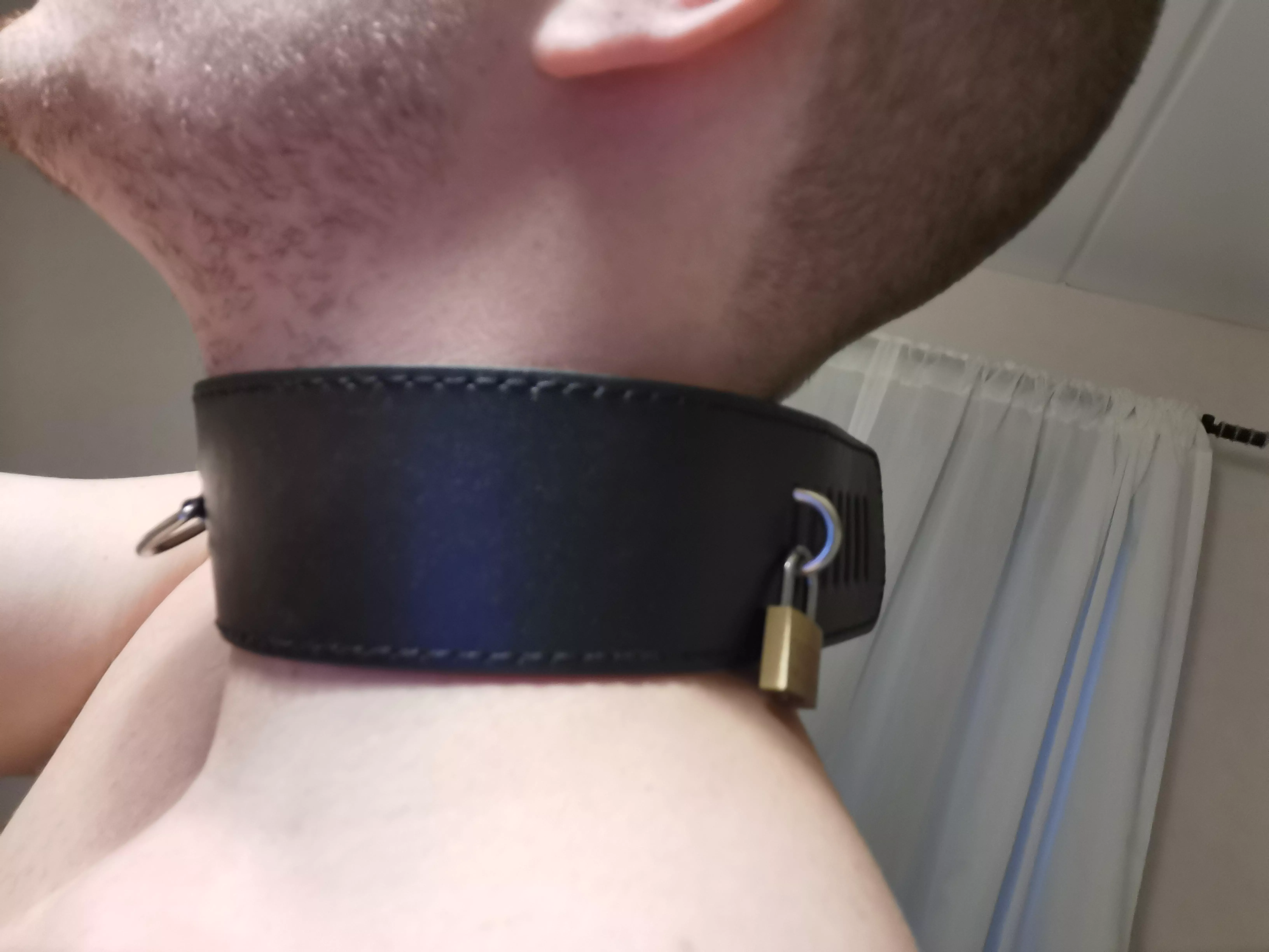 First lockable collar, love it! Now someone needs to attach a leash to it... posted by JKF4