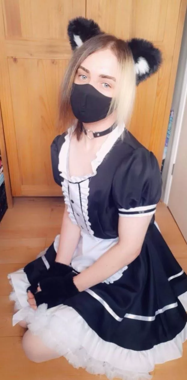 First post for a lil while, hope u all like a maid catboy 😖🥺 posted by Rose_mary3528