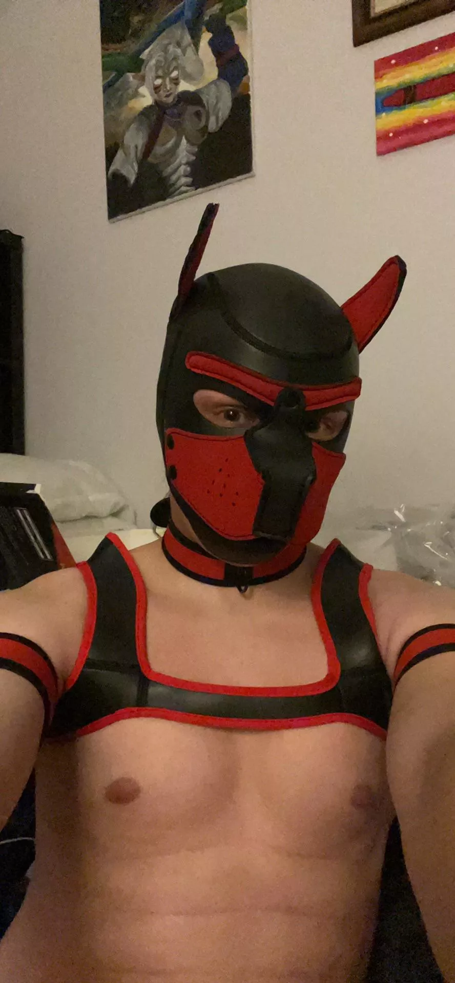 First post here, finally got my puppy hood posted by puppyplayfun