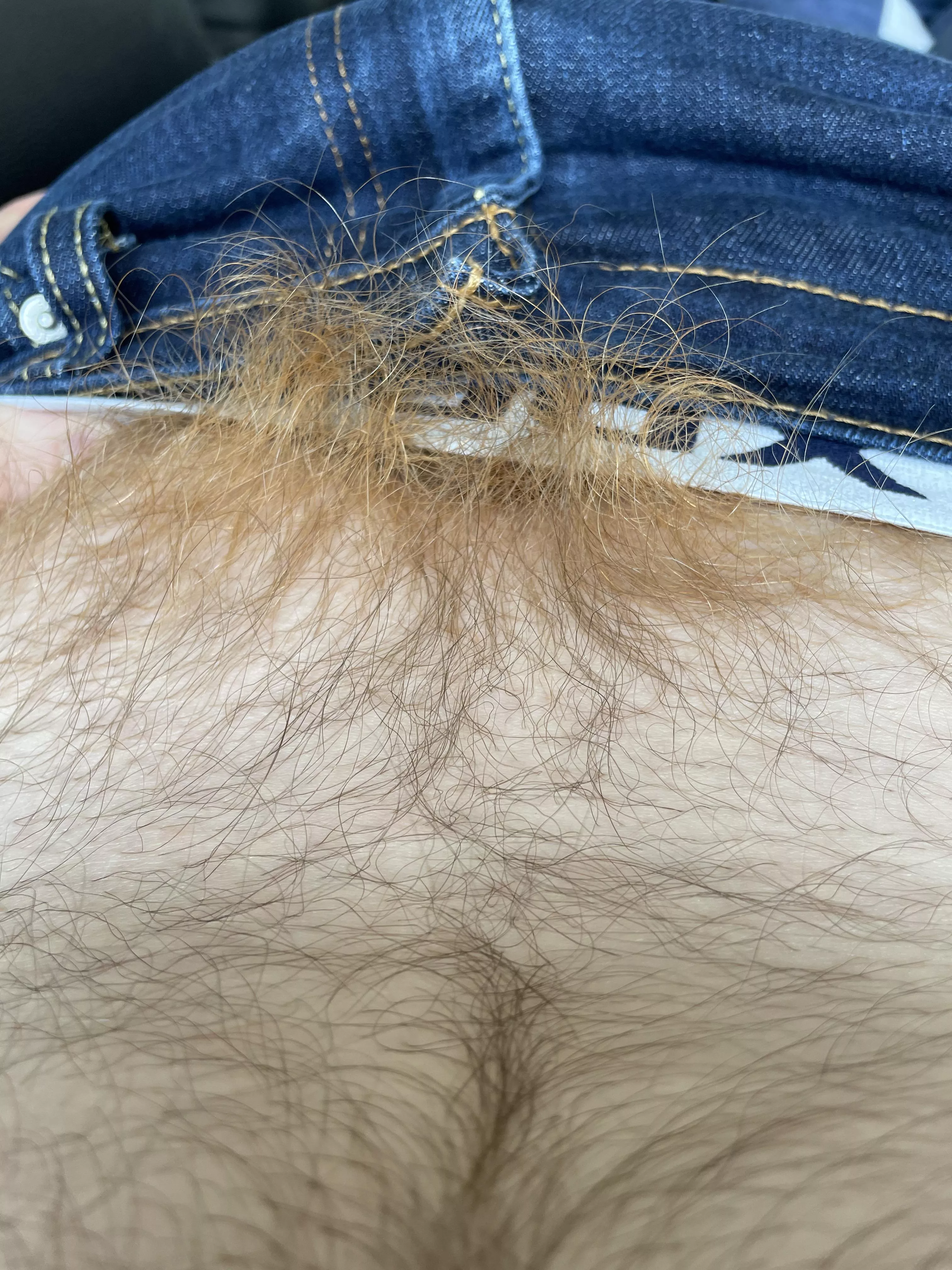 First post. Here’s a peak of my hairy pubey fire crotch posted by cinderxz