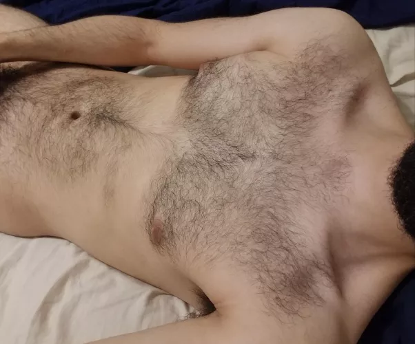 Hairy Chest Fetish