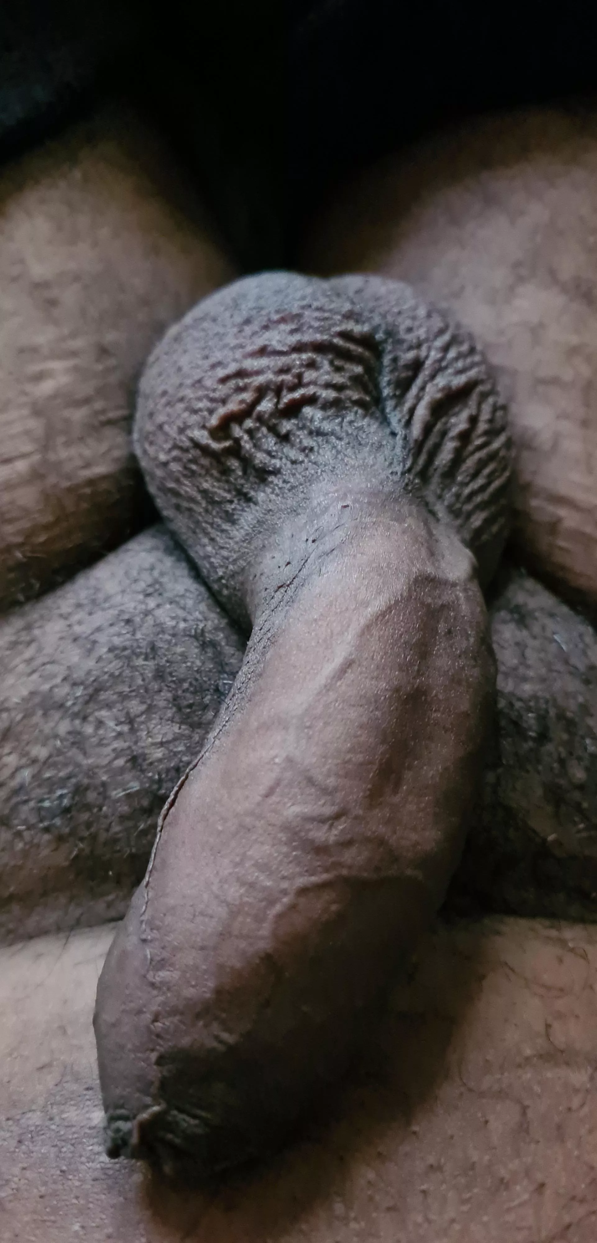 First post of my flaccid dick. posted by DutchCaribean33