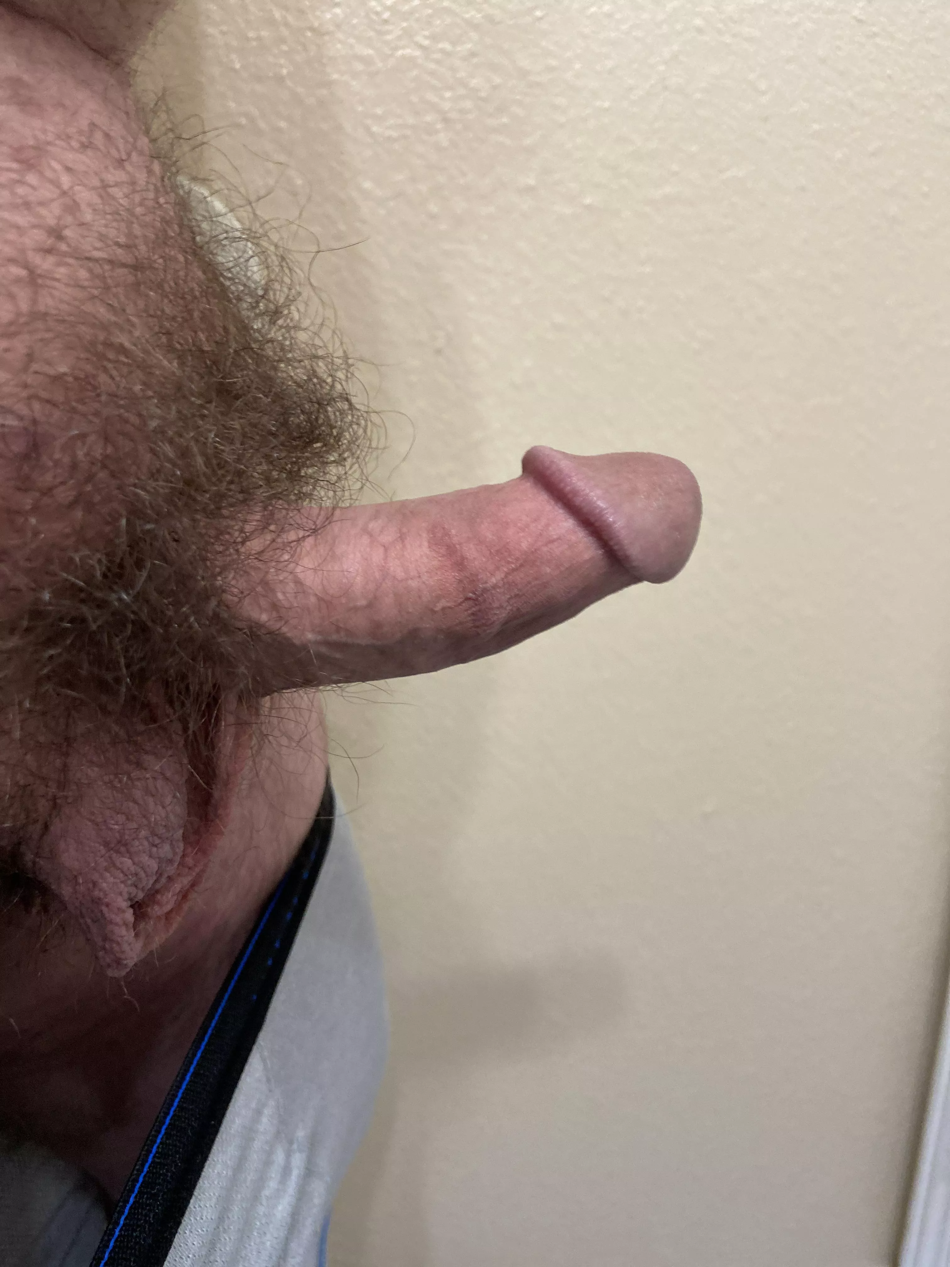 Fluffy bush posted by hairycock96