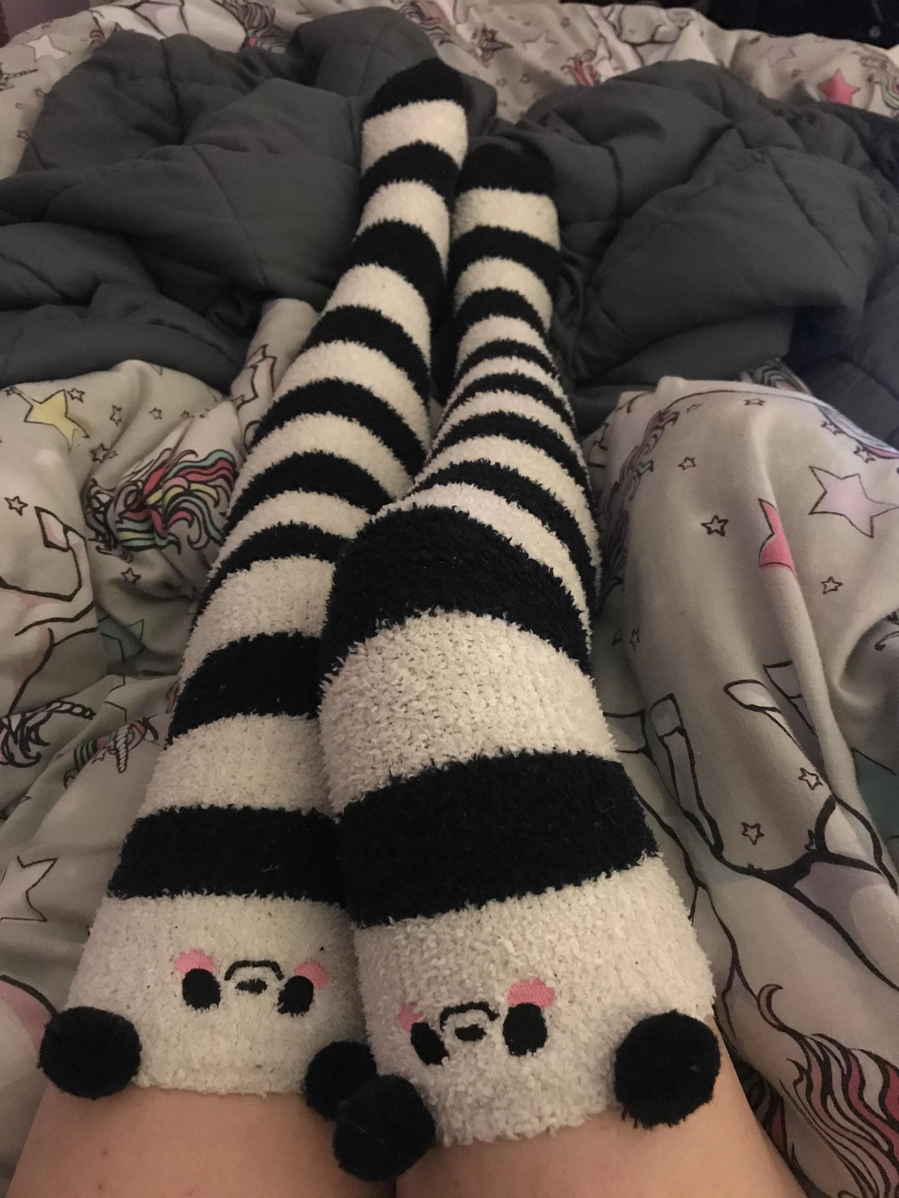 Fluffy panda socks 🖤🤍 posted by i-ate-the-ether