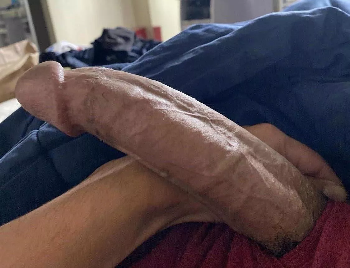 For those who stopped scrolling, would you suck my cock? posted by Hungboy619