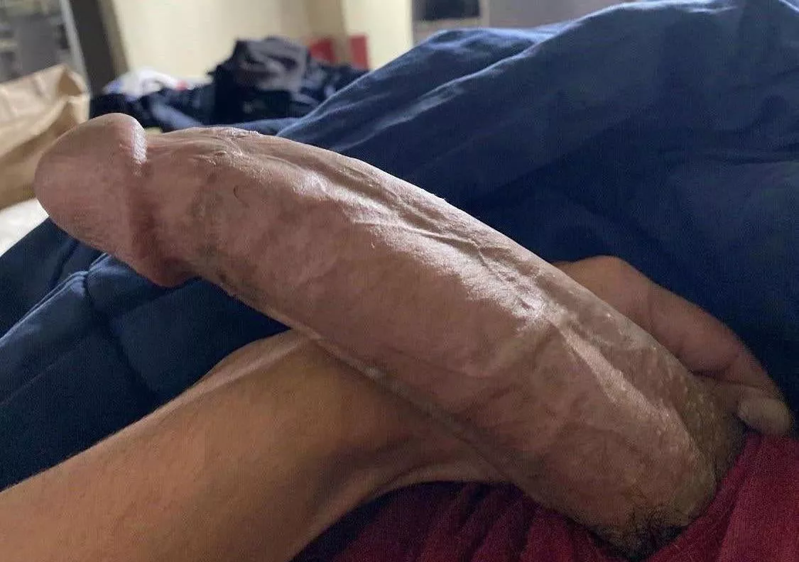 For those who stopped scrolling, would you suck my cock? posted by Hungboy619