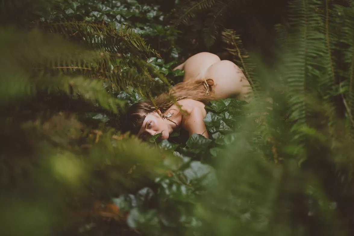 forest bathing posted by jewelsbreakstherules