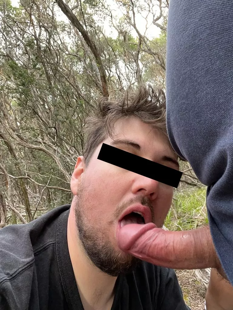 Found a thick one in the woods. posted by alt-bounty