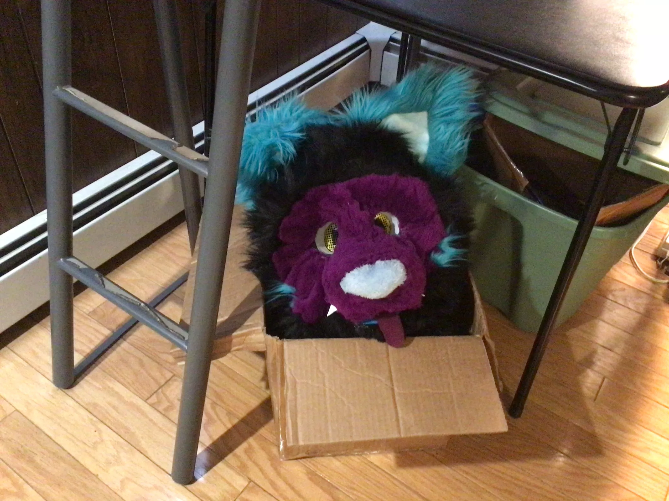 Fox in a box :3- posted by Proto_Fox