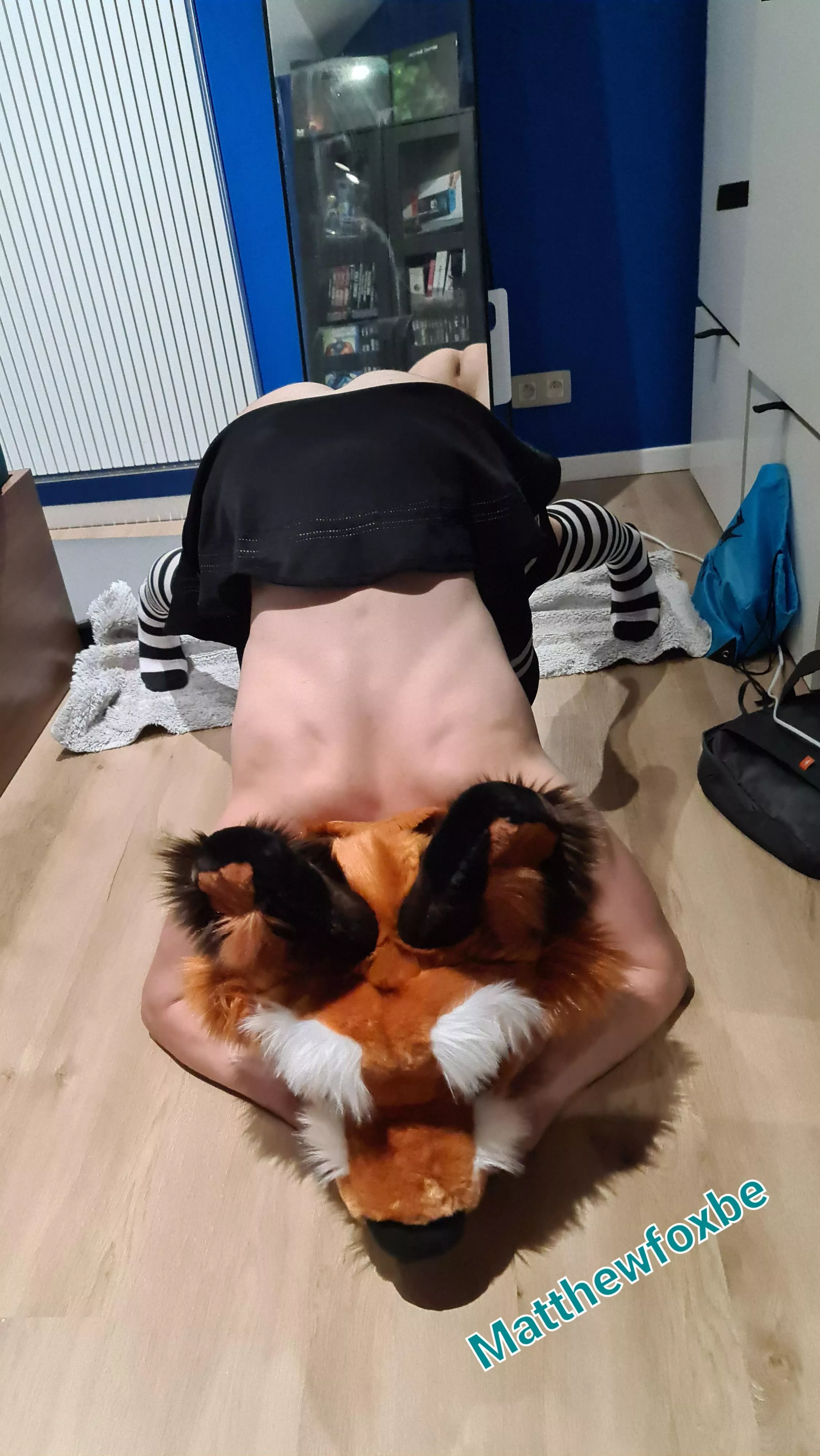 Foxxo is trying to do the Jackopose :3 posted by MatthewFoxBe