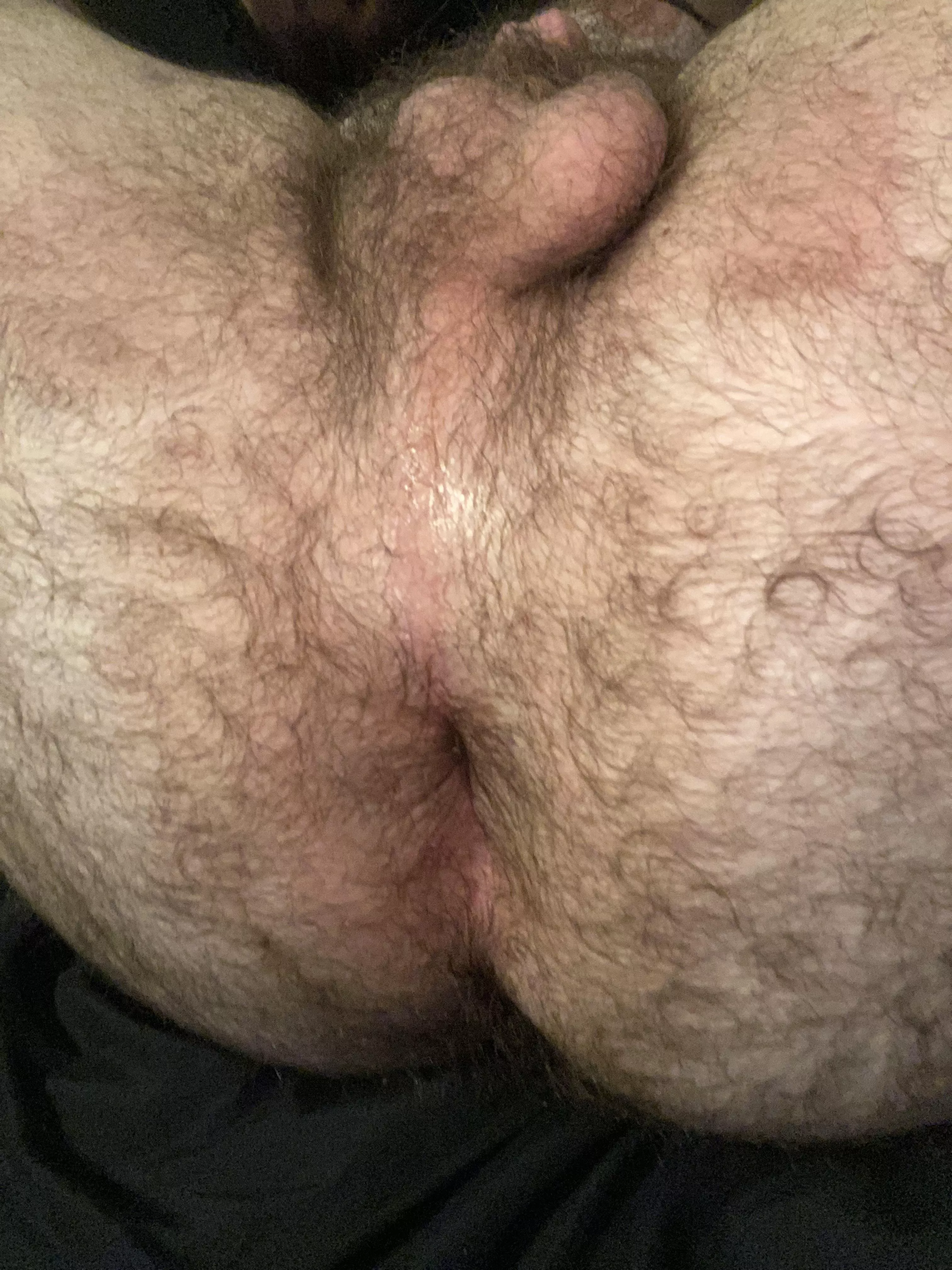 Fresh out the shower posted by hairybottomboy