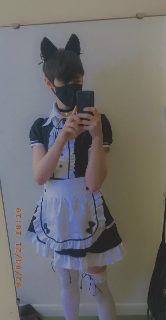 Friend bought me a maid outfit last year for Christmas posted by McPiranha