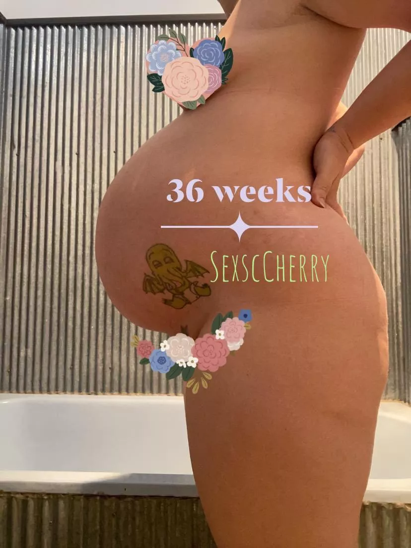 From beautifully chubby milf to sexily bred pawg 😘 Selling all my content for one low price. Includes photos and videos from Lingerie to POV and everything in between 😉 36 weeks pregnant right now and sexy milky content to be added when my boobs fi posted by SexscCherry