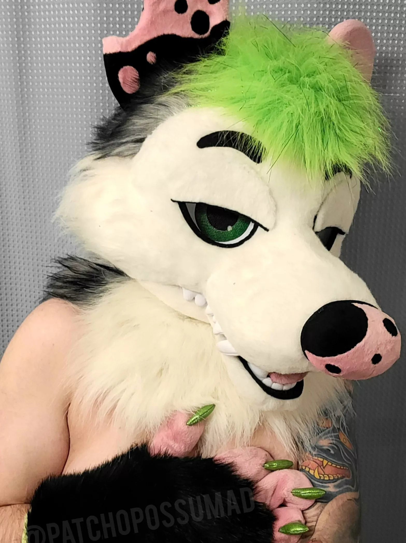 [FtM] Feeling frisky on #murrsuitmonday 💦 posted by PatchOpossumAD