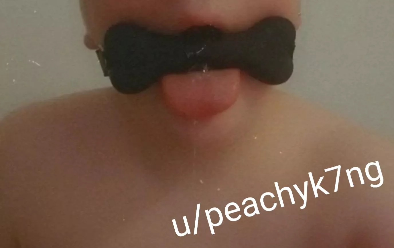 [FtM] puppy got a new toy posted by peachyk7ng