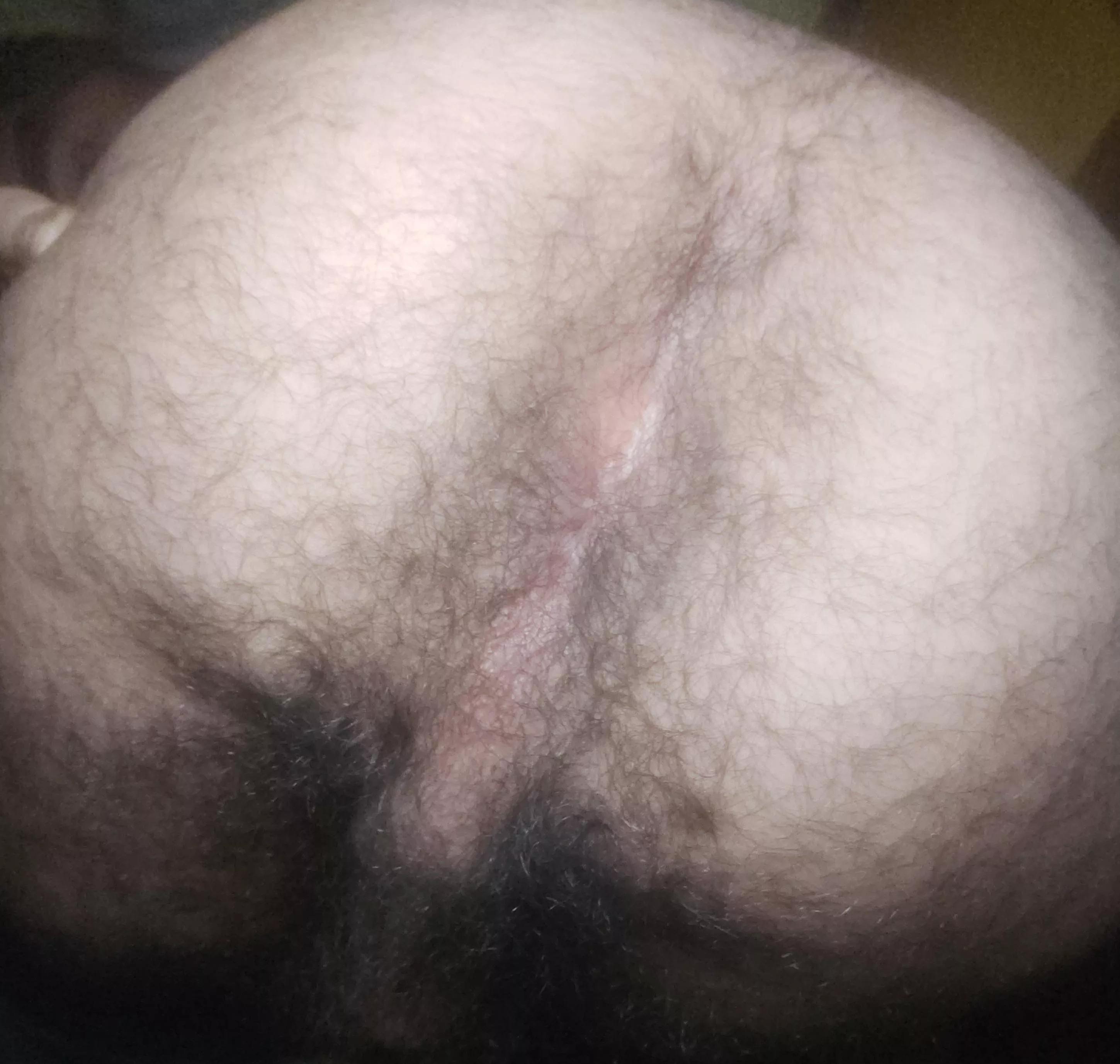 Fuck my asshole posted by versgayyyy