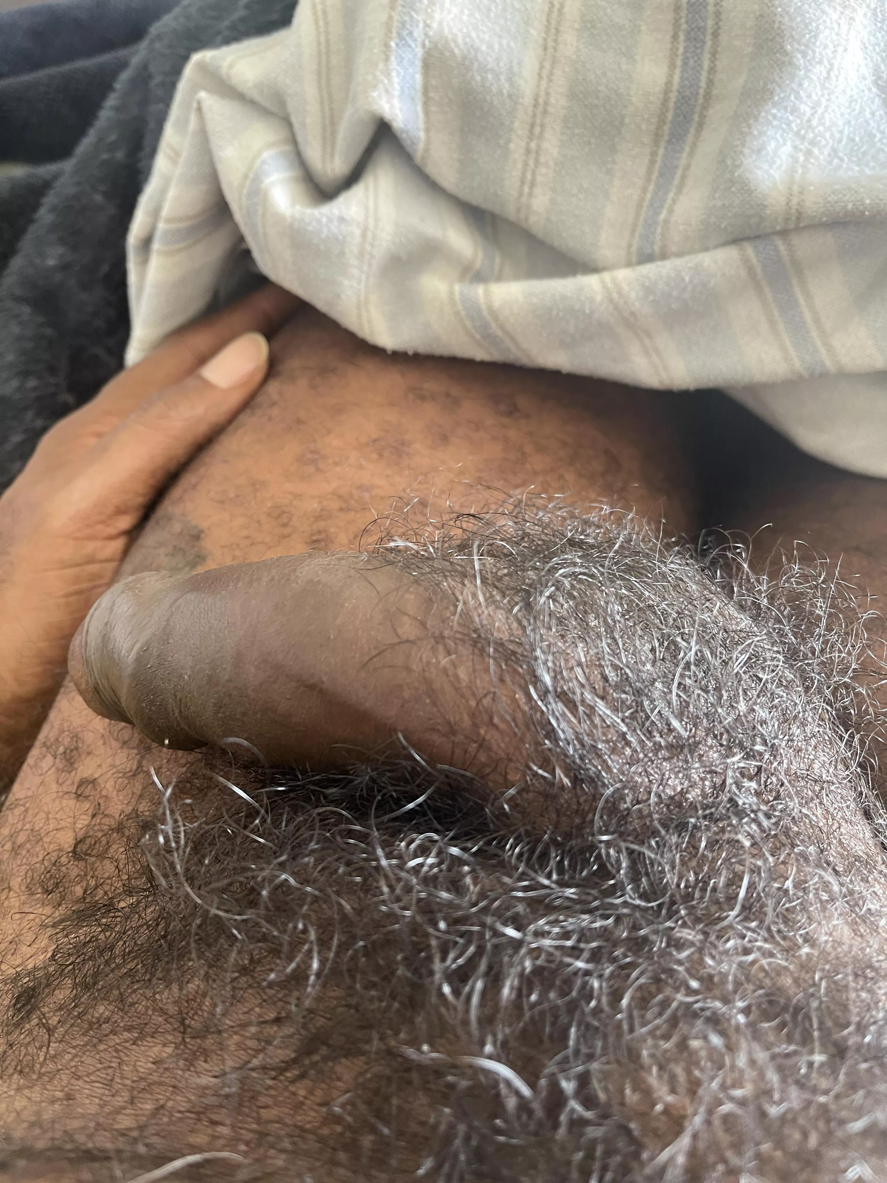 Full pubes posted by TD4BAY