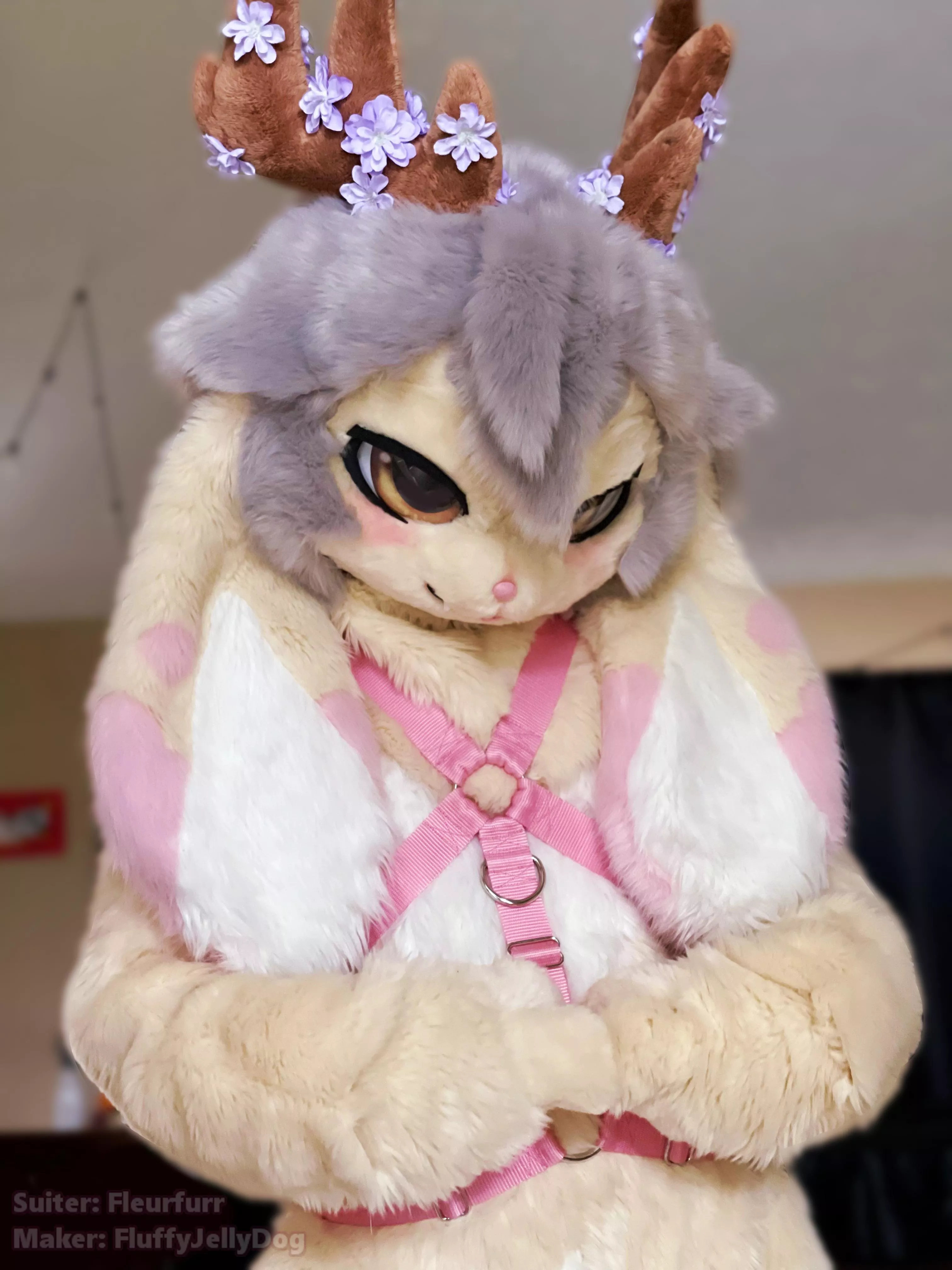 Fursuit Friday! Do I look cute in pink? posted by Fleurfurr