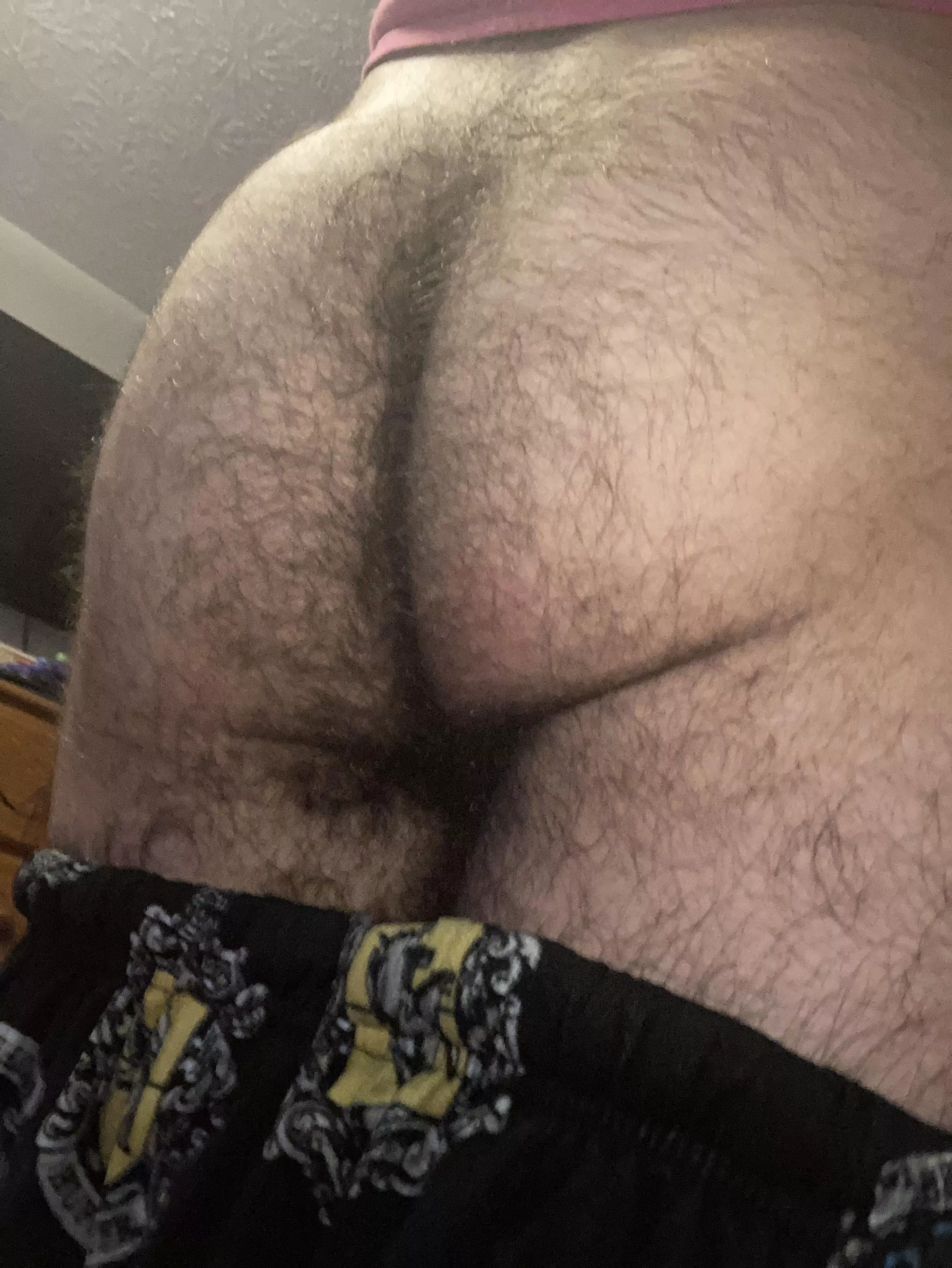 Fuzzy Bear Bum! posted by DapperSpy