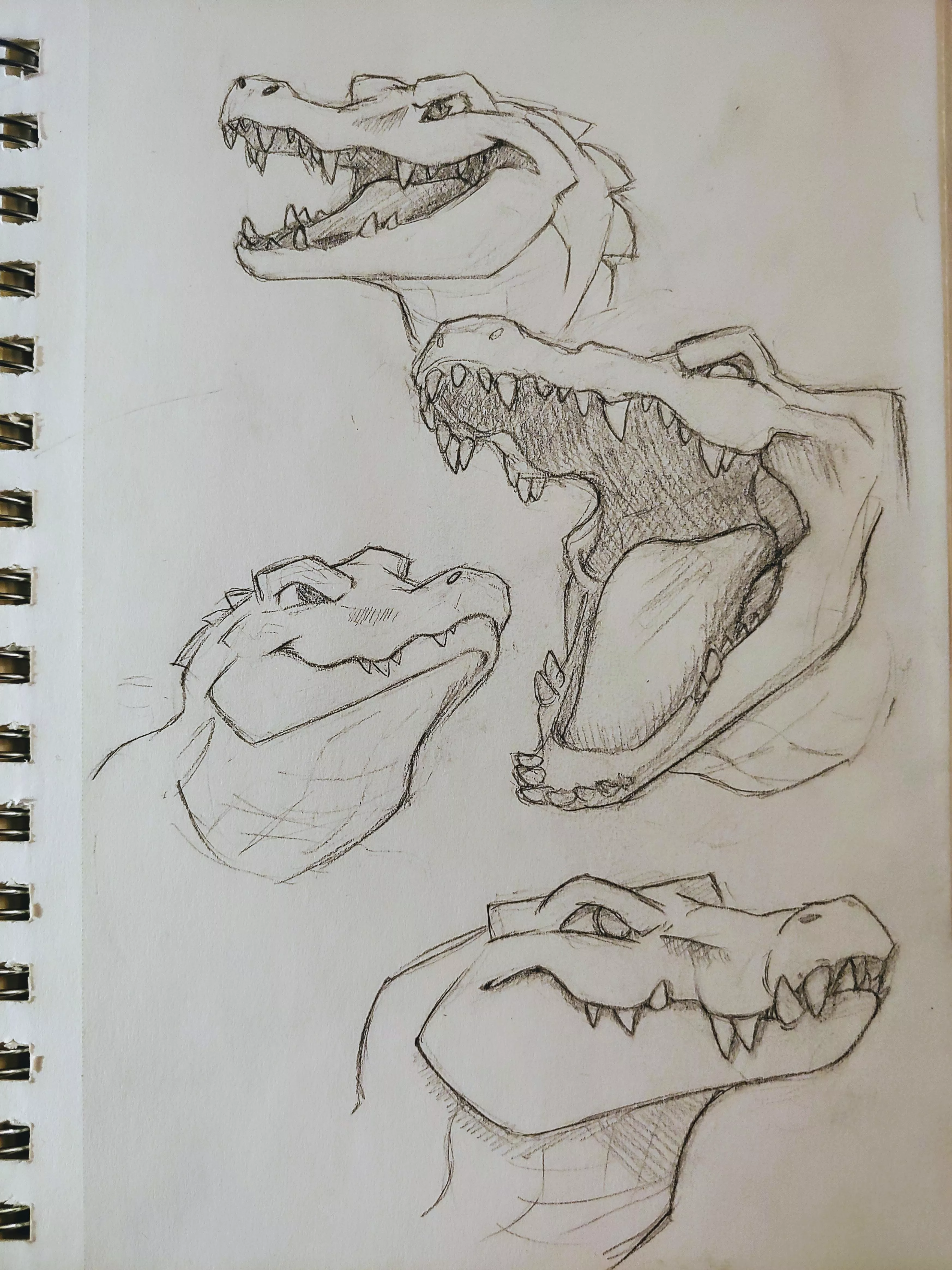 Gator sketches [commissions open] [for hire] posted by milo-louis