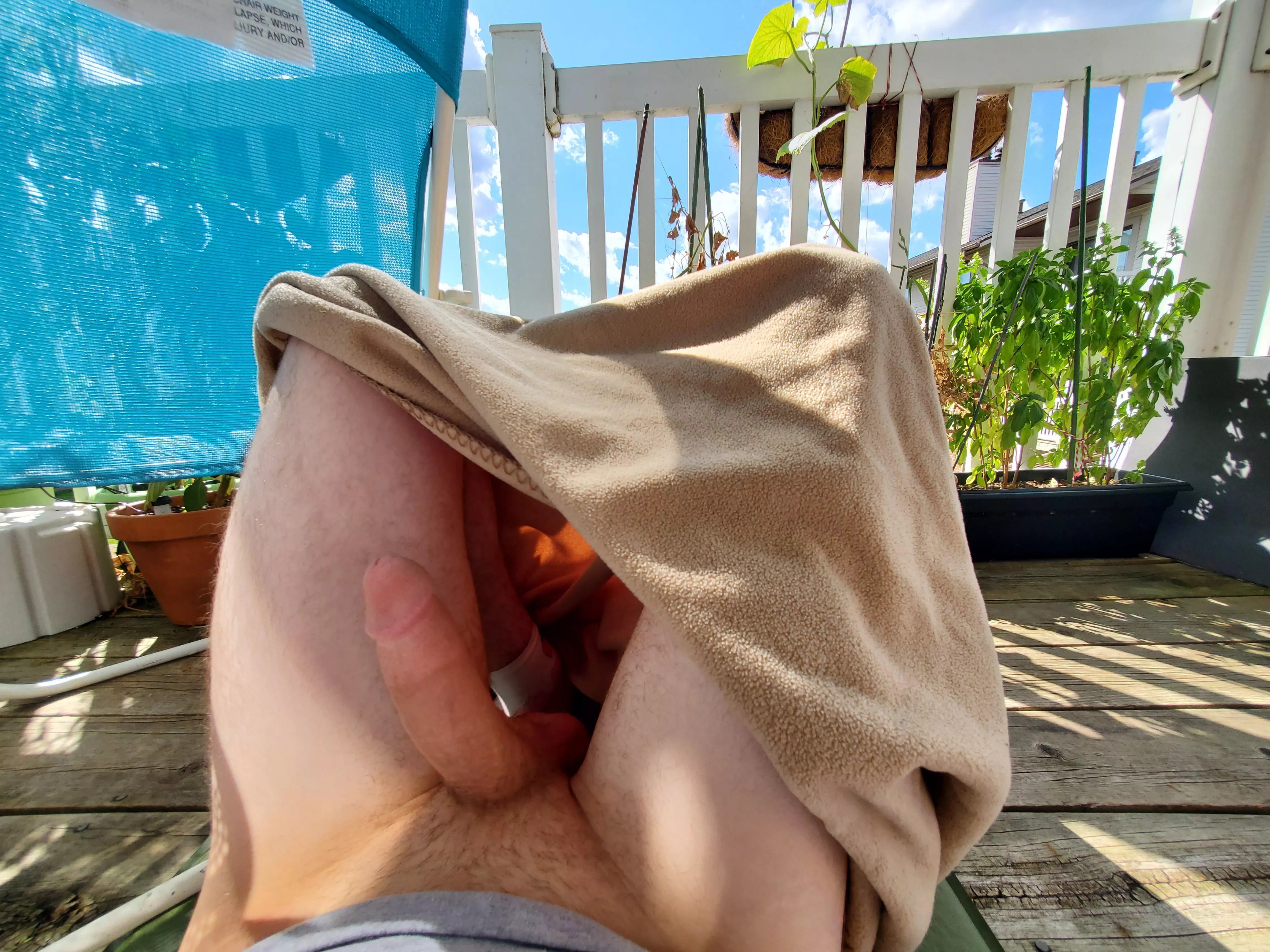 Getting some sun with my cock out. Maybe a neighbor will see 👀 posted by Sex_AND_Arsenic