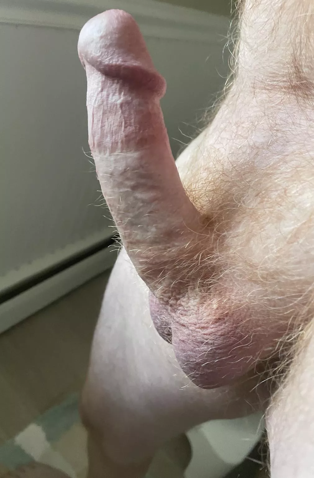 Ginger pubes posted by LkgGood51