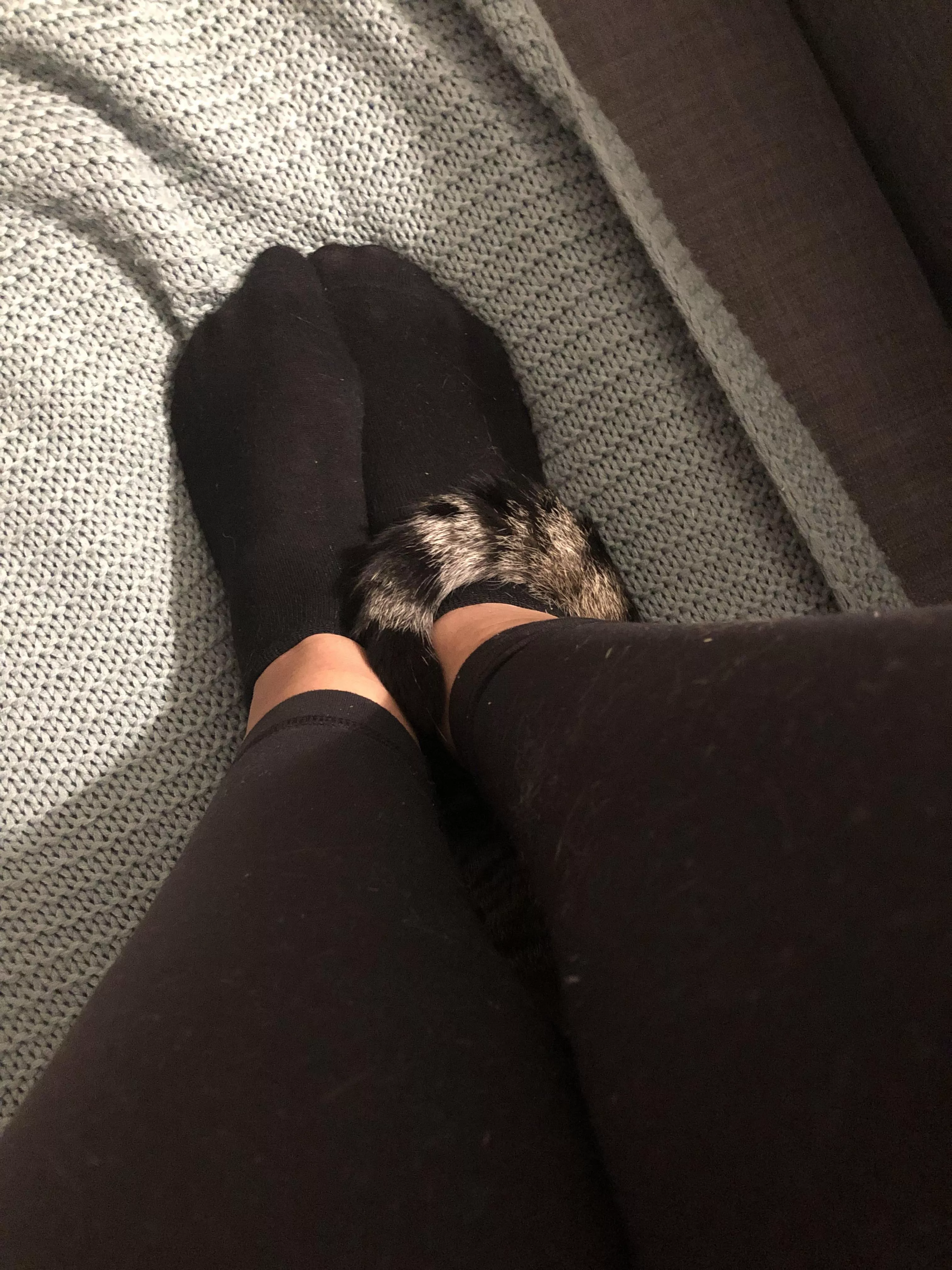 Girlfriend wanted to know what you think of her socks🖤 posted by frshstrtr