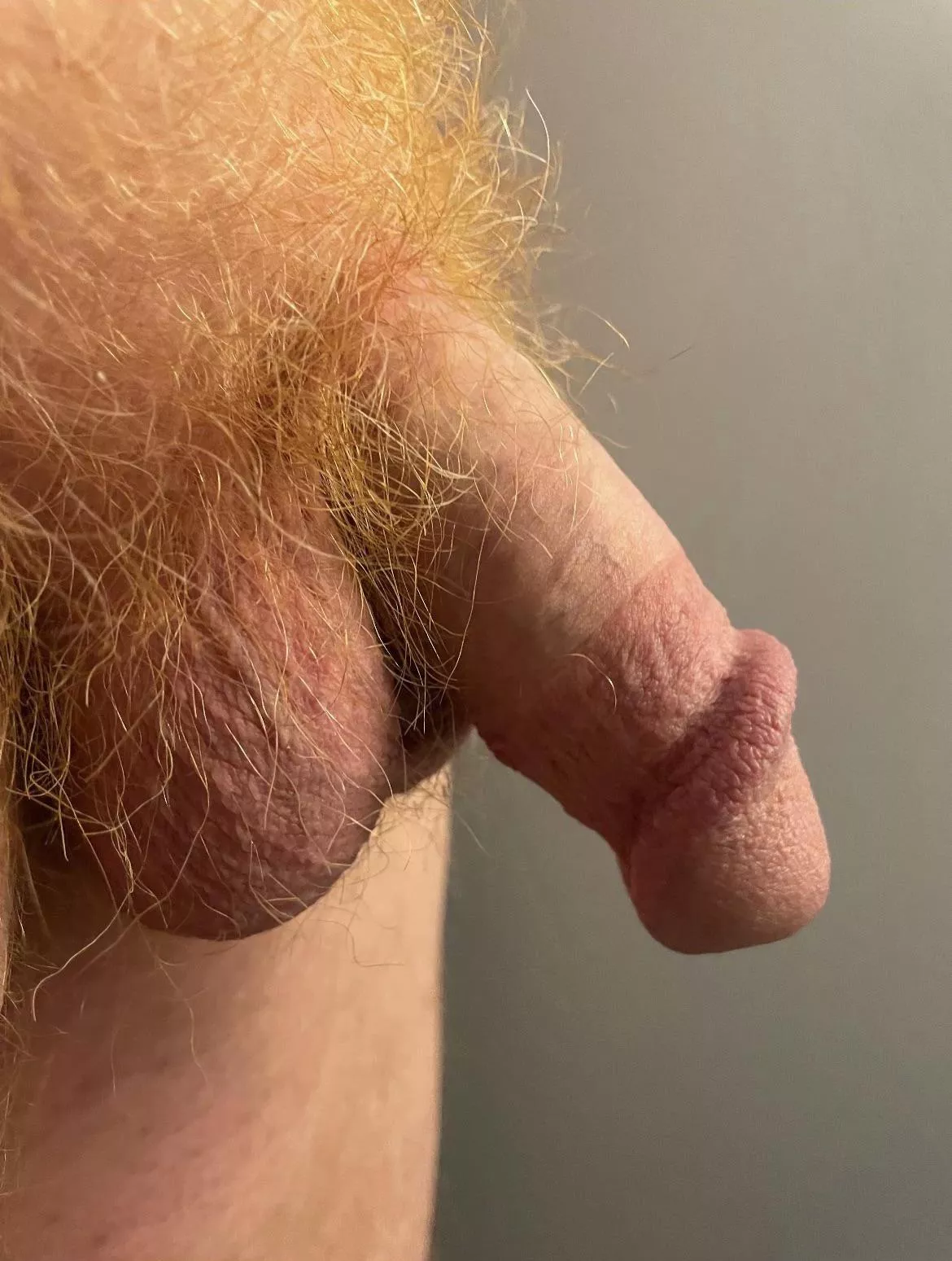 Glowing red pubes with sift cock posted by gingermale51