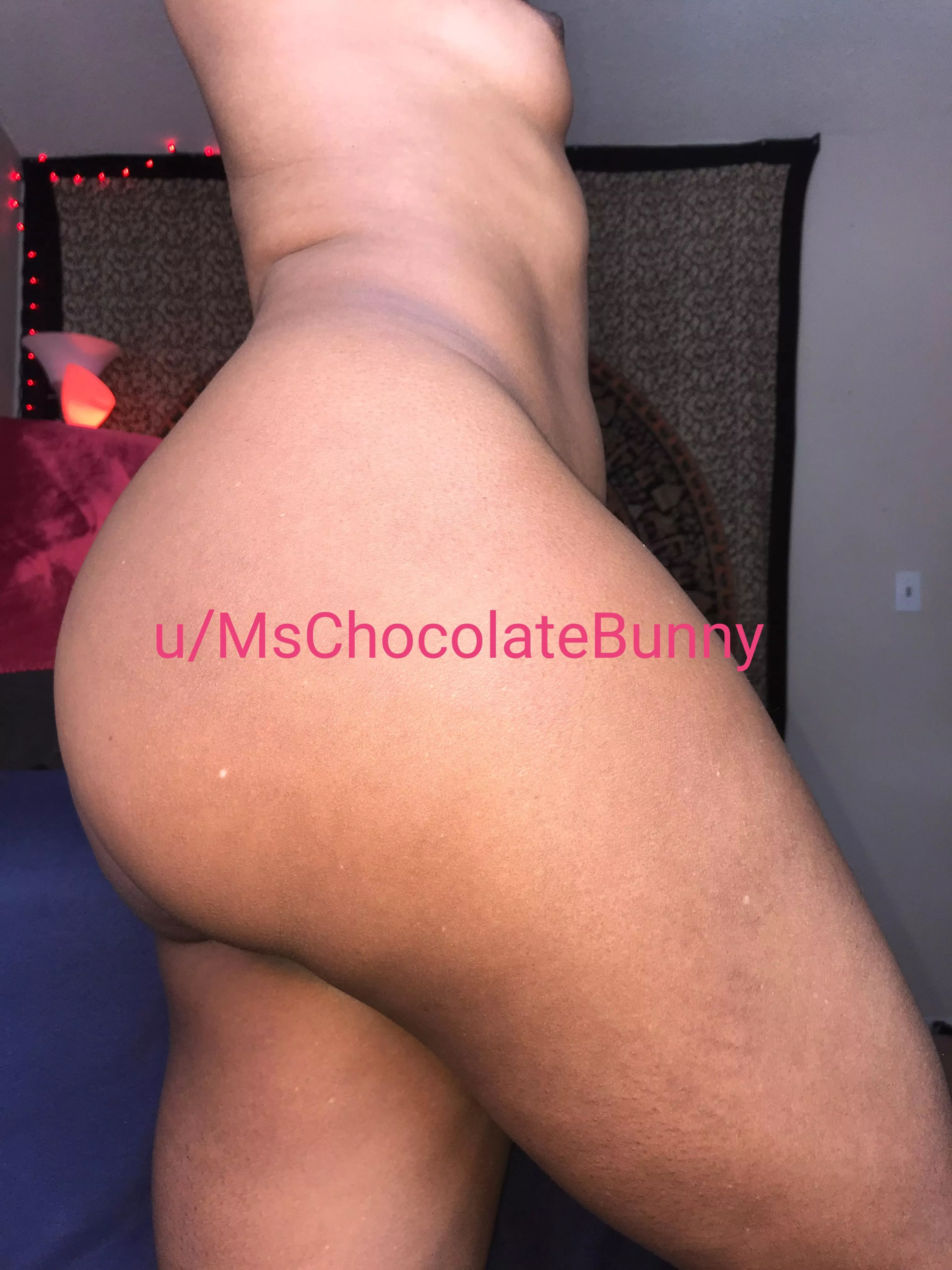 Good evening posted by MsChocolateBunny