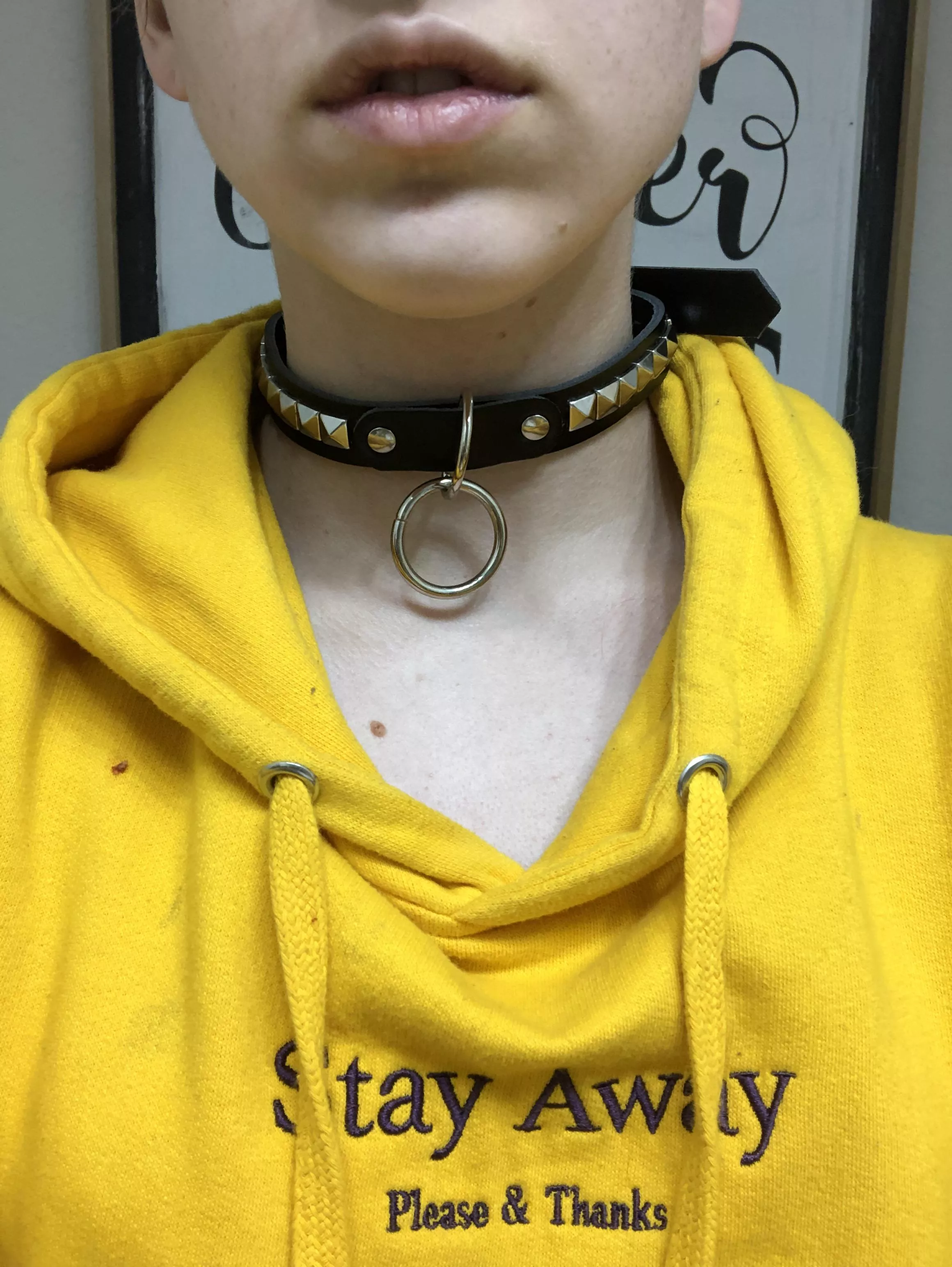 Got a collar posted by Anonymous_Loser13