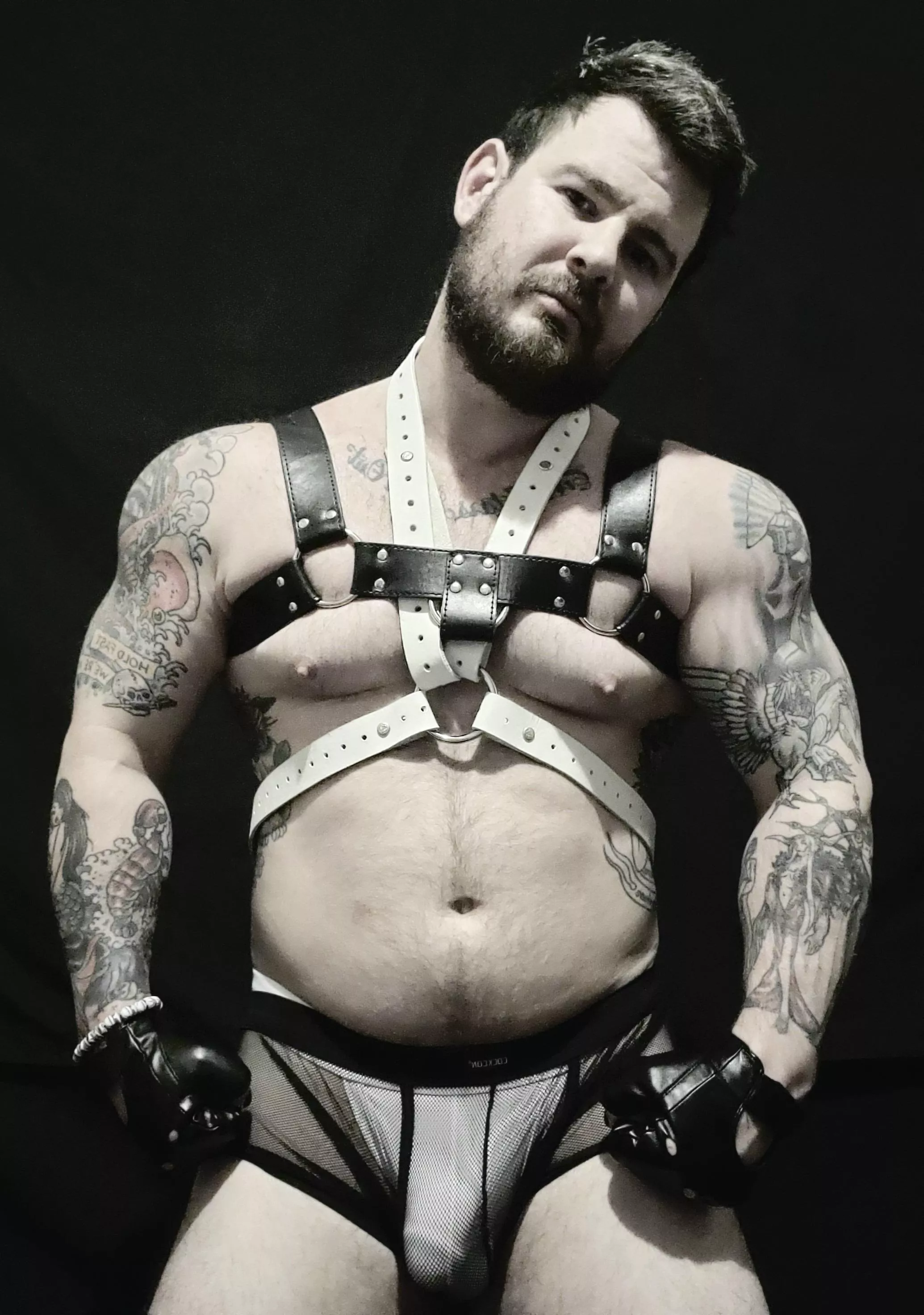 Got a new harness so I figured I'd show off a bit ðŸ˜ what do you think? posted by underwearempire