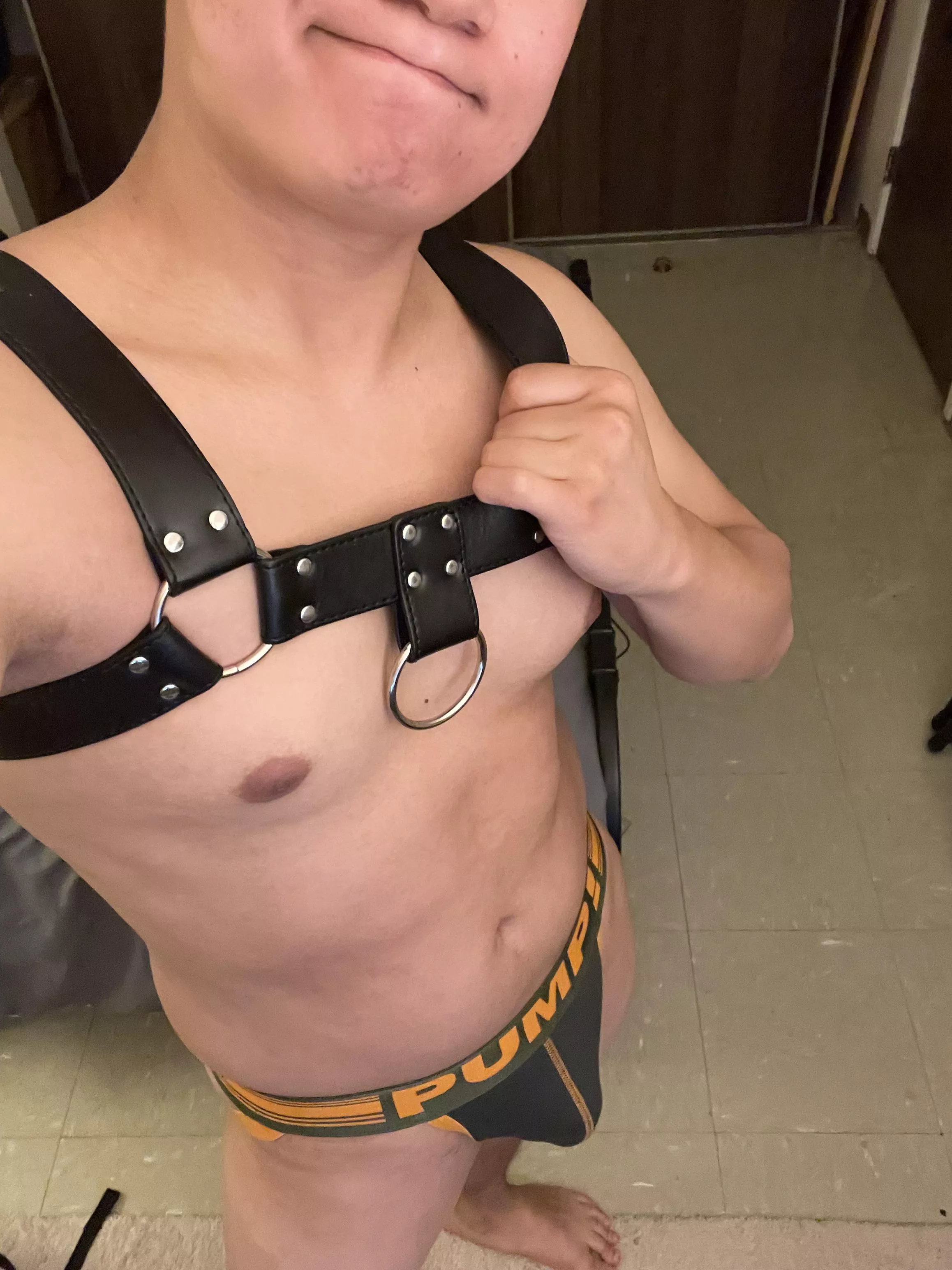 Got a new harness to go with my jocks posted by circular_habits