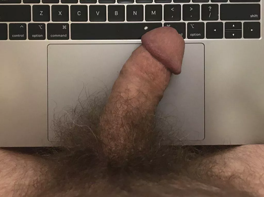 Got dickstracted at work posted by hairydad4you