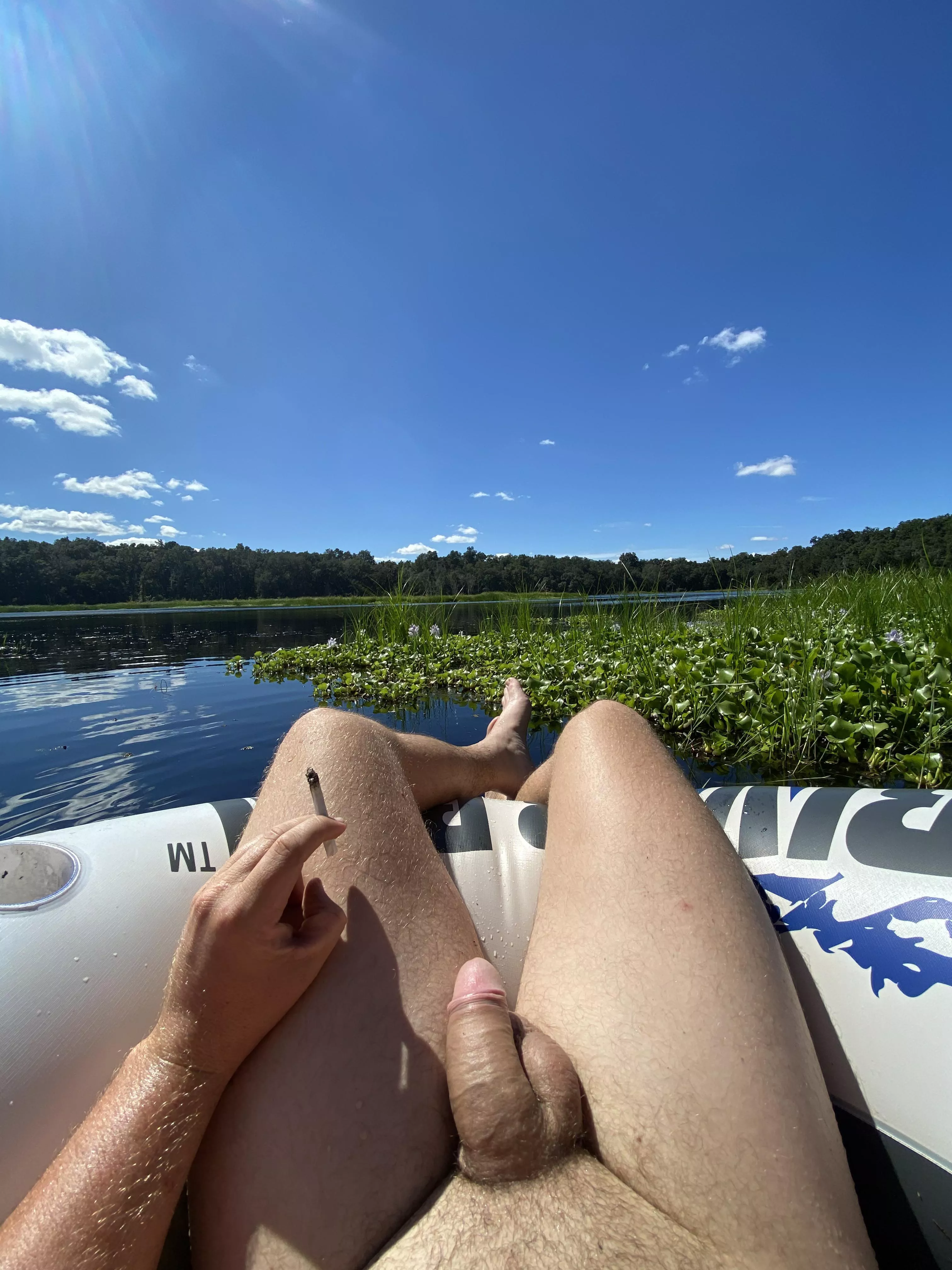 Got wildflowers and dank flower on my nude booze cruise [m] posted by NakedShaman