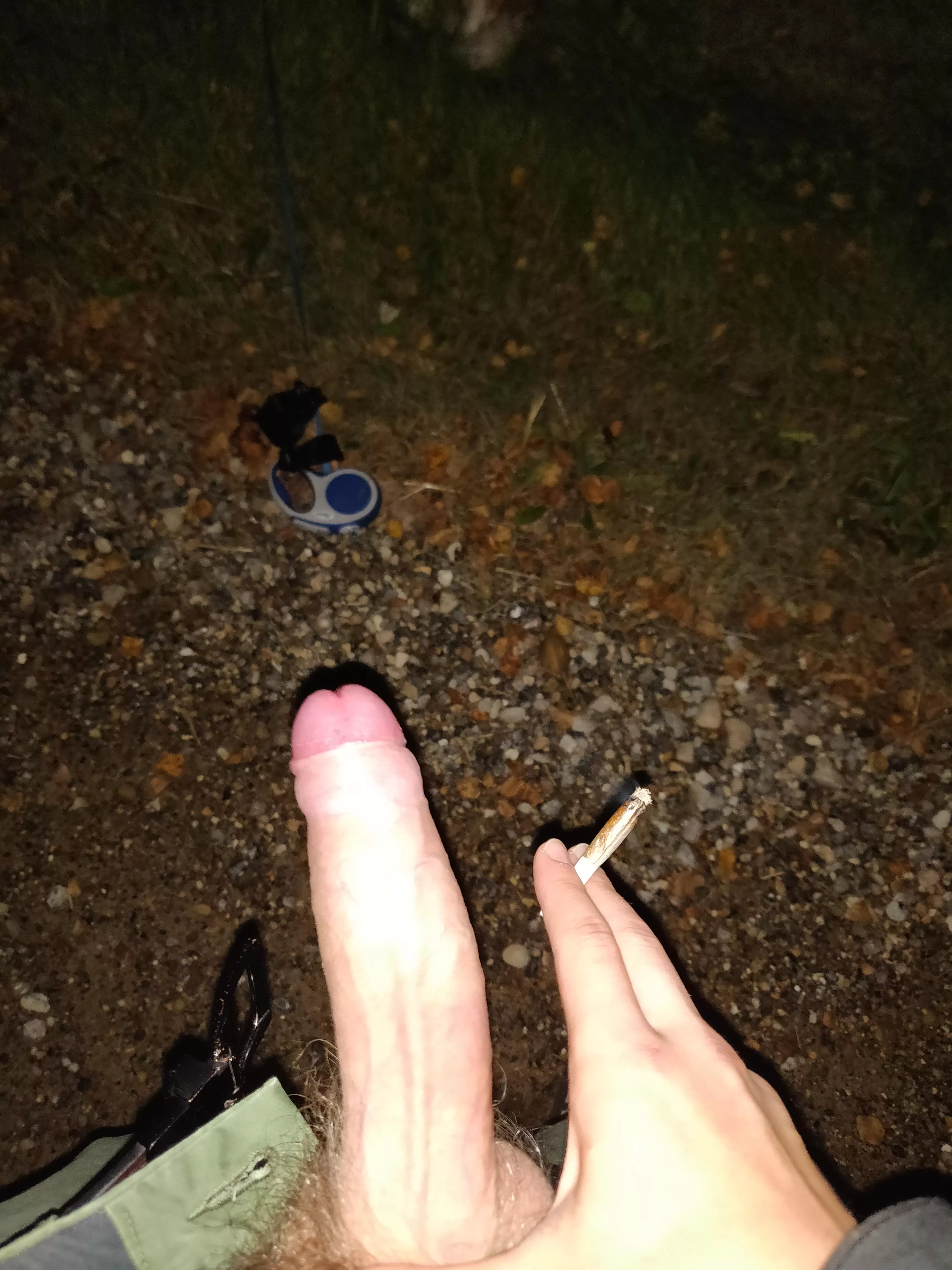 Gotta love the privacy of living in the country and walking the dog [M18] posted by nut_user