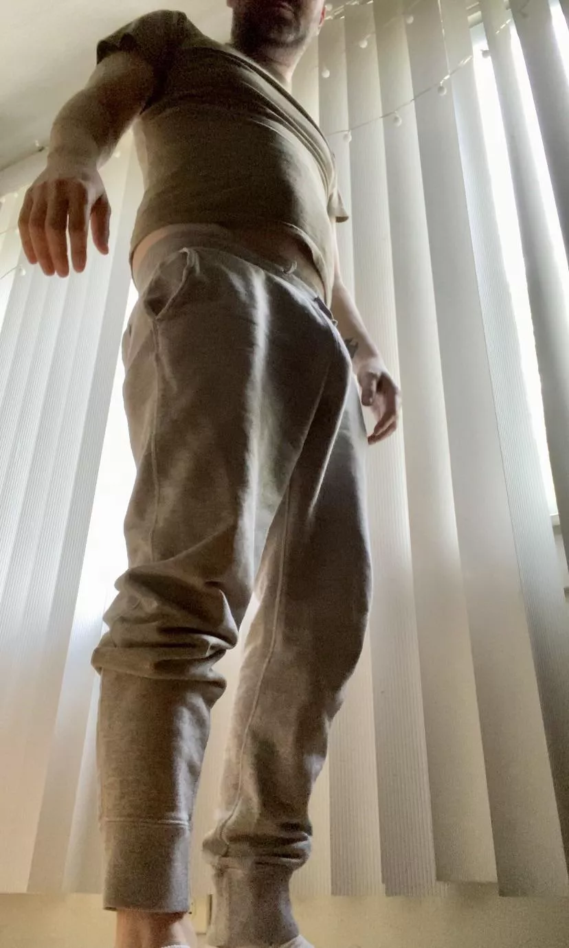 Grey sweatpants season is here posted by johnnydangerboy