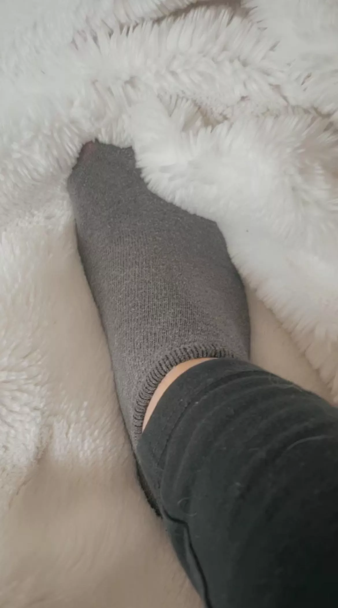 Grey sweaty socks posted by missjxoxo