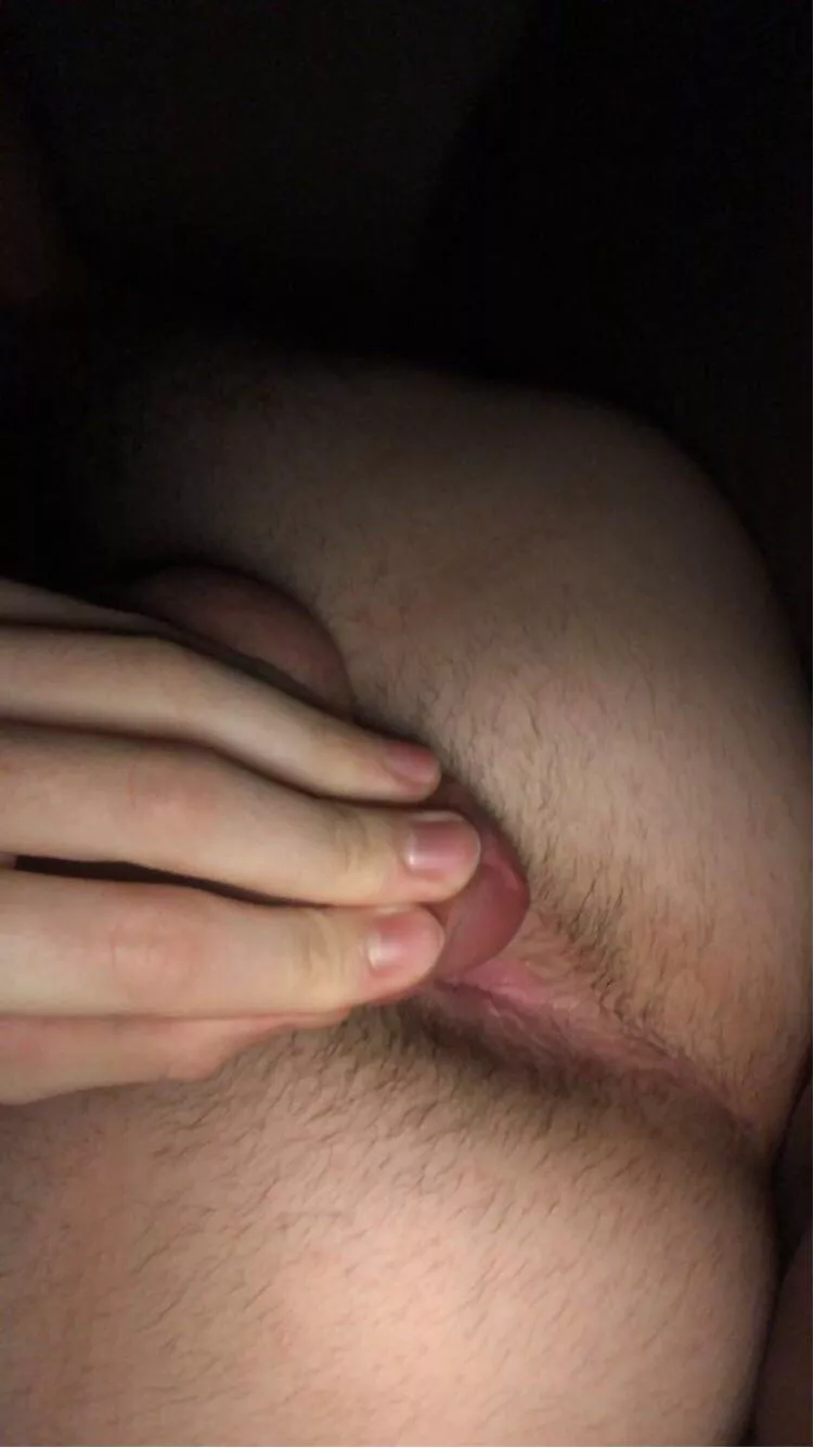 Growing out my ass hairs for you posted by sadboycad