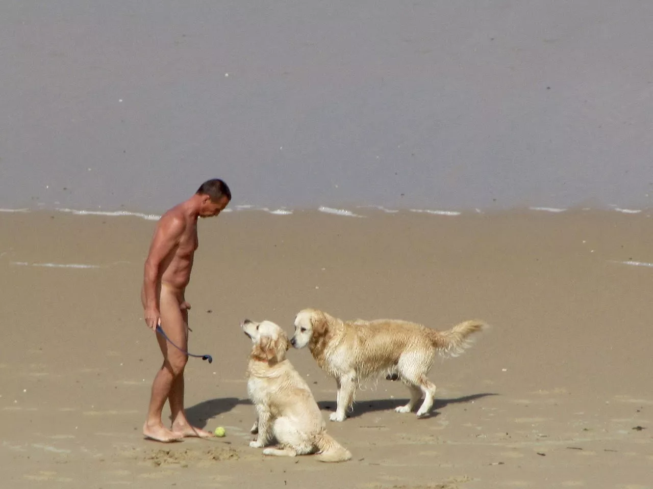 Guys, best place to walk the dogs and play fetch is at the nude beach posted by bobettebobqc